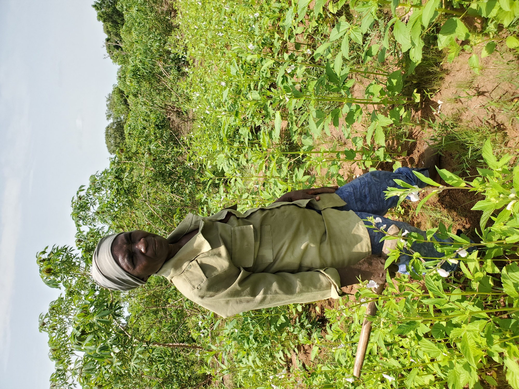 Agricultural workers tend crops in Mararaba, Nigeria fields