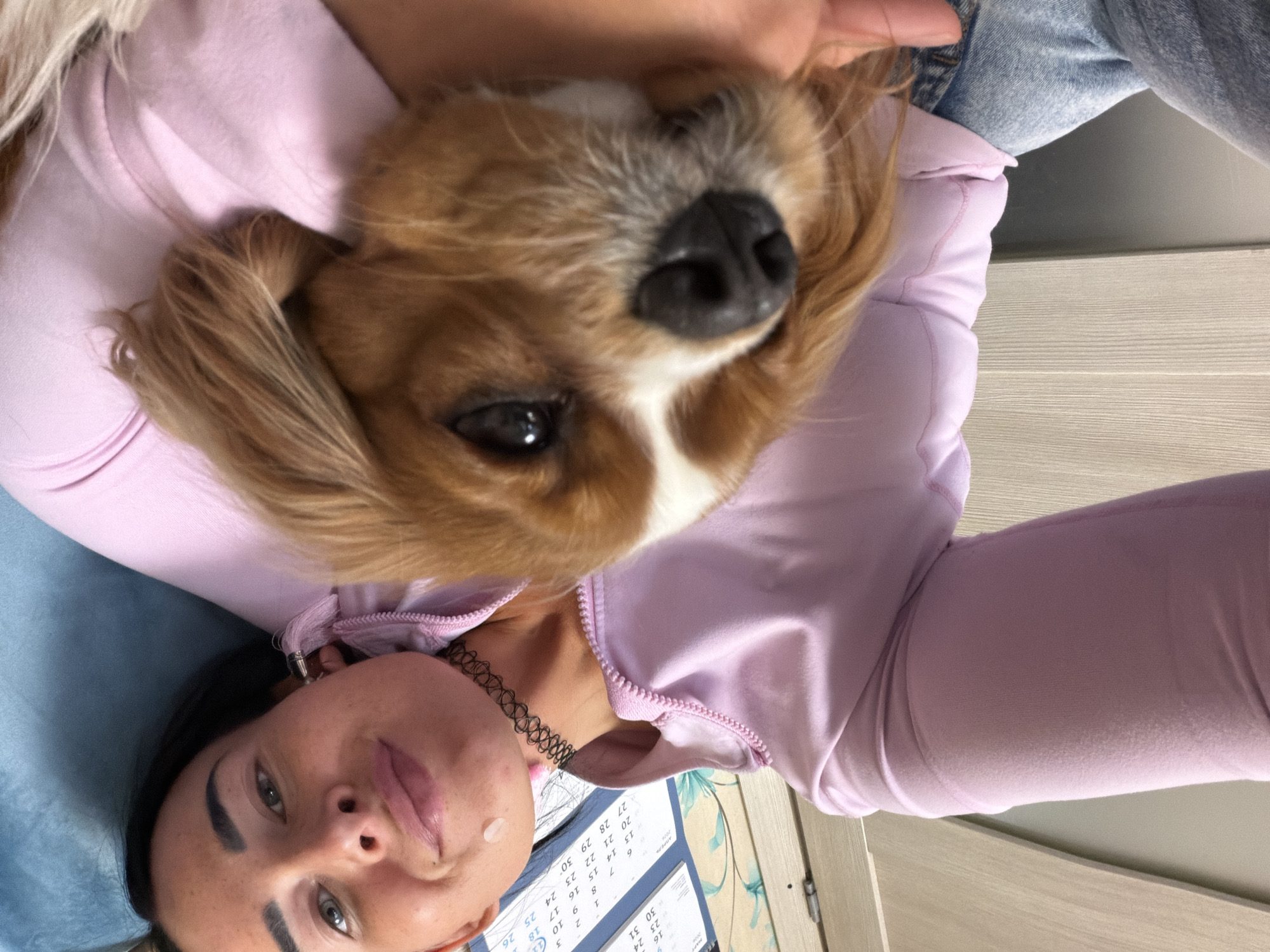 Pet owner plays with dogs and cat in Bronnitsa home