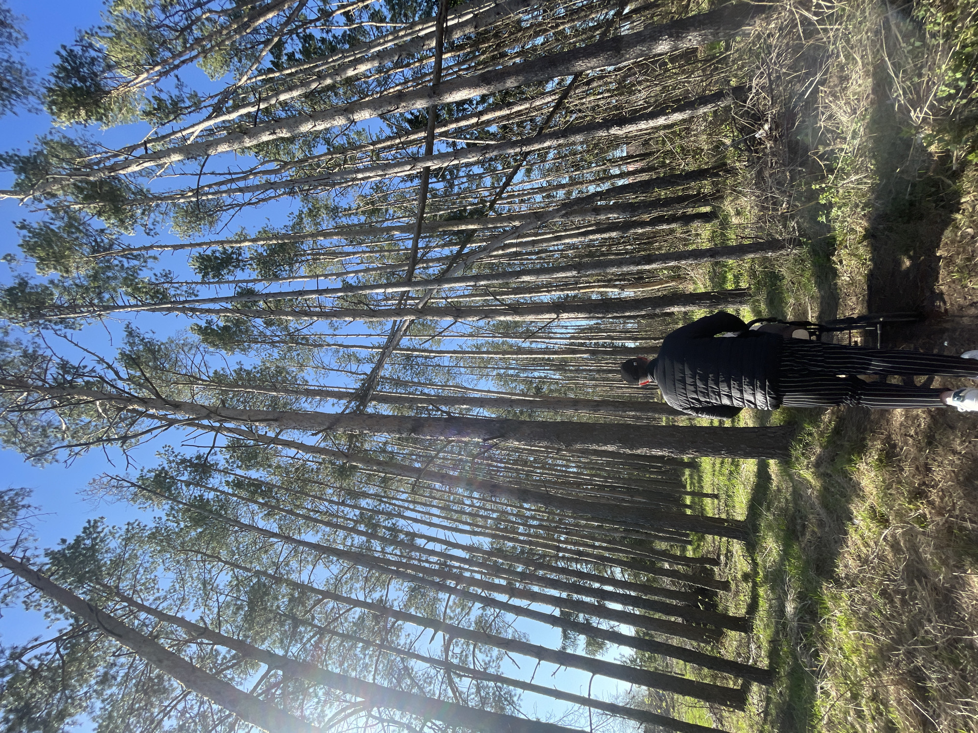 Person walks forest paths, takes selfies in Подшивалово, Russia