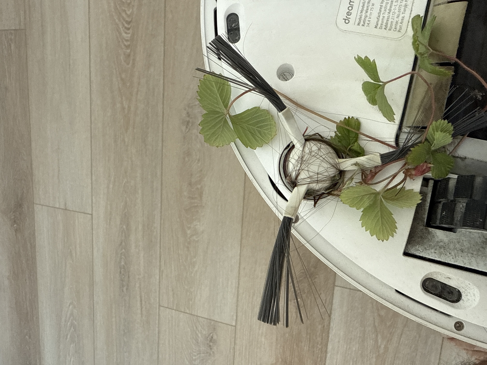 Robotic vacuum found with brushes tangled in human hair