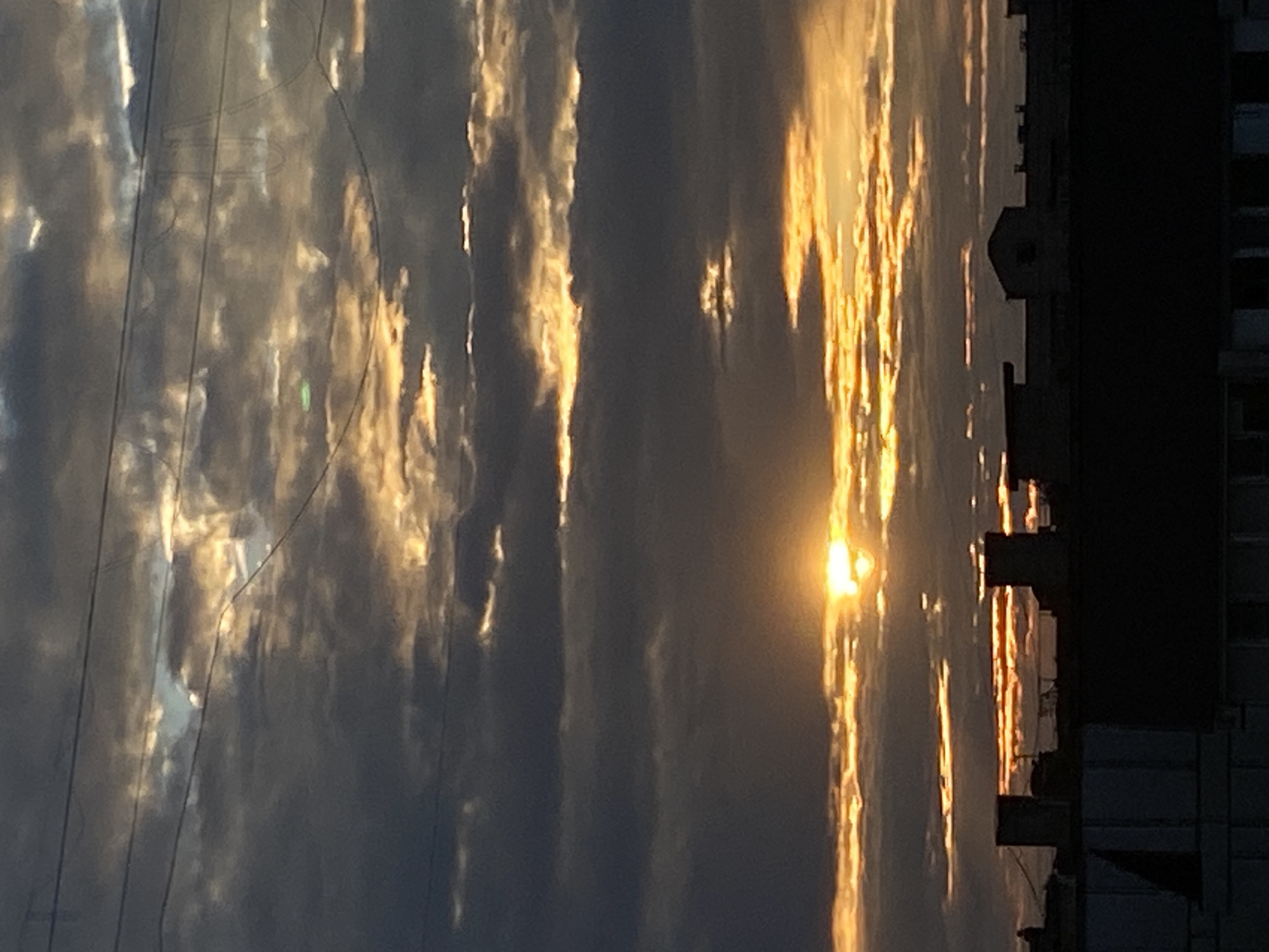 Cats, sunsets, and home life on a Chaikovsky evening