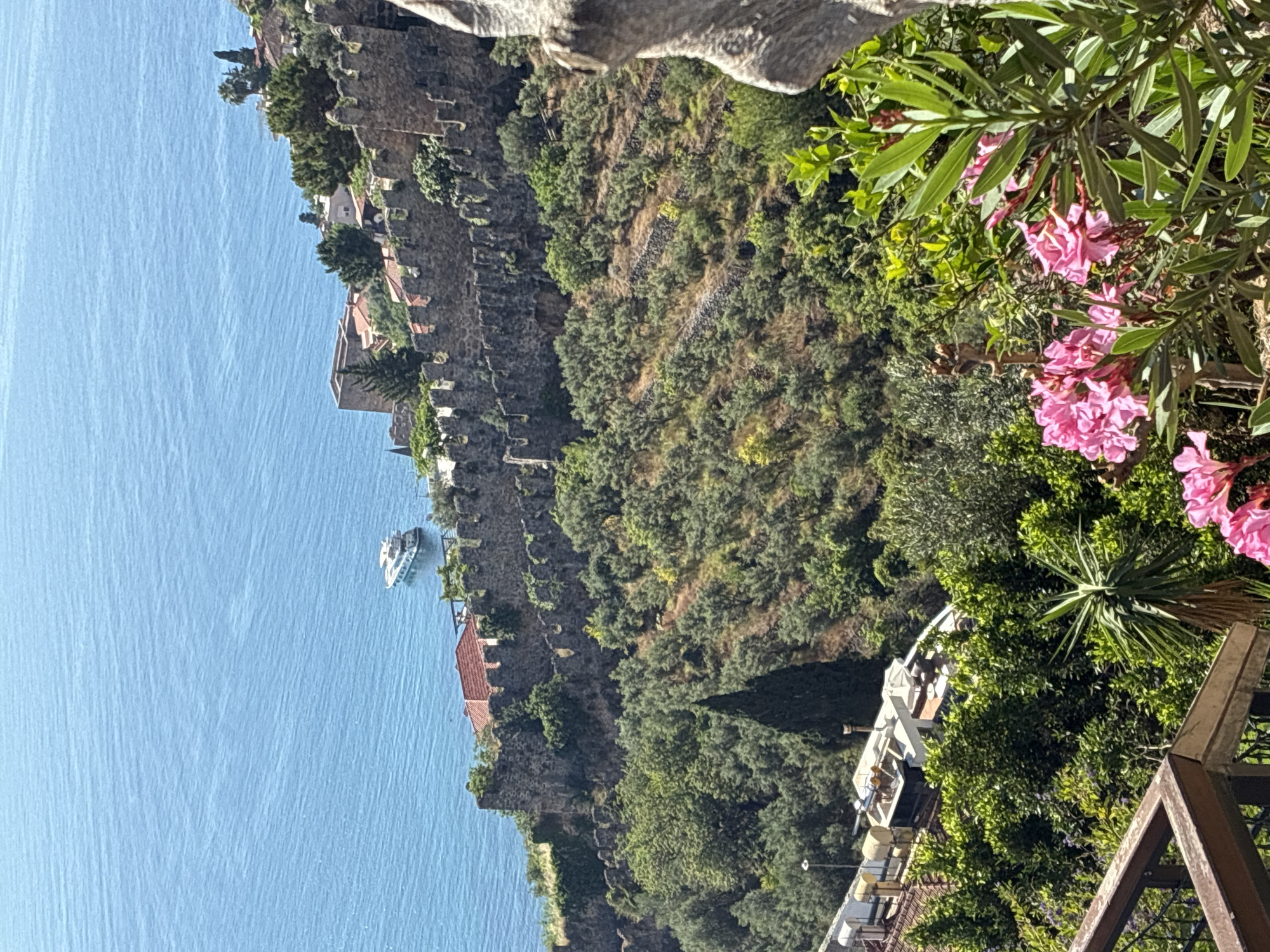 Castle walls, cable cars, and kittens in coastal Alanya