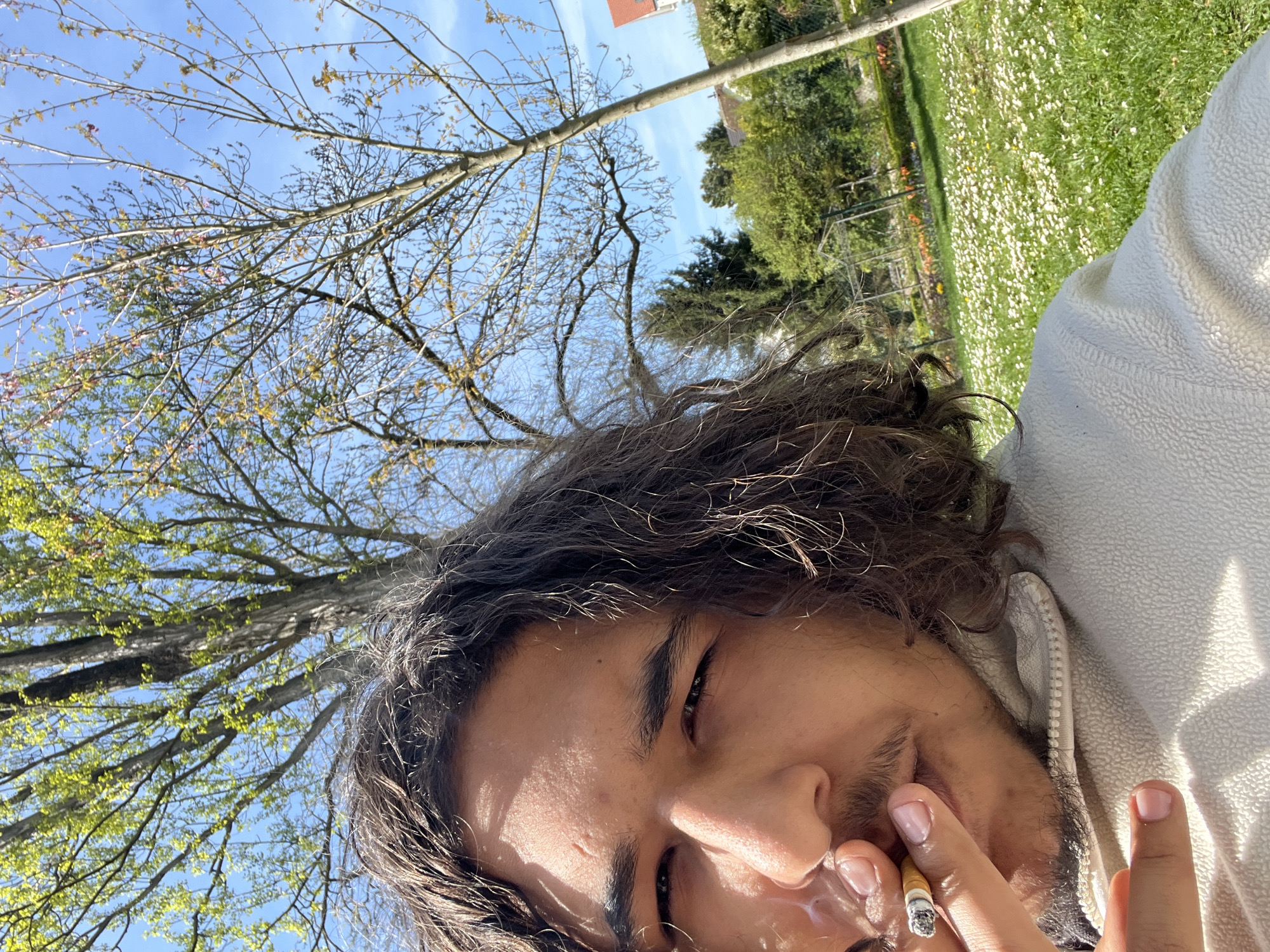 Man relaxes in flower-covered park in Schiltigheim