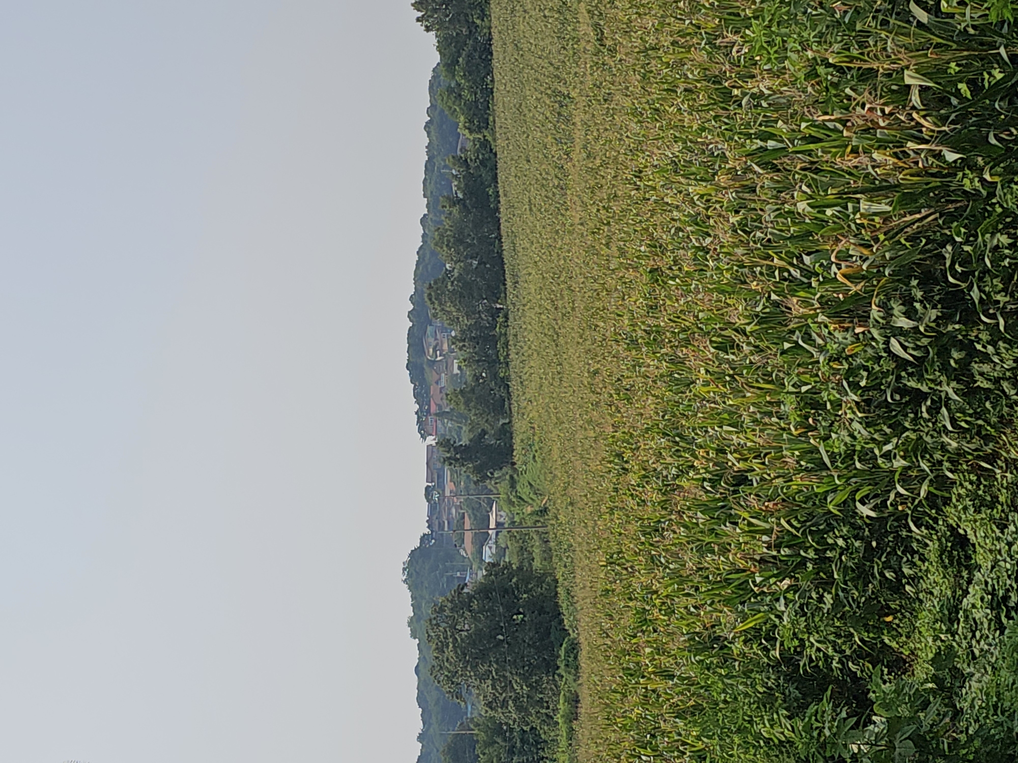 Hwaseong-si, South Korea