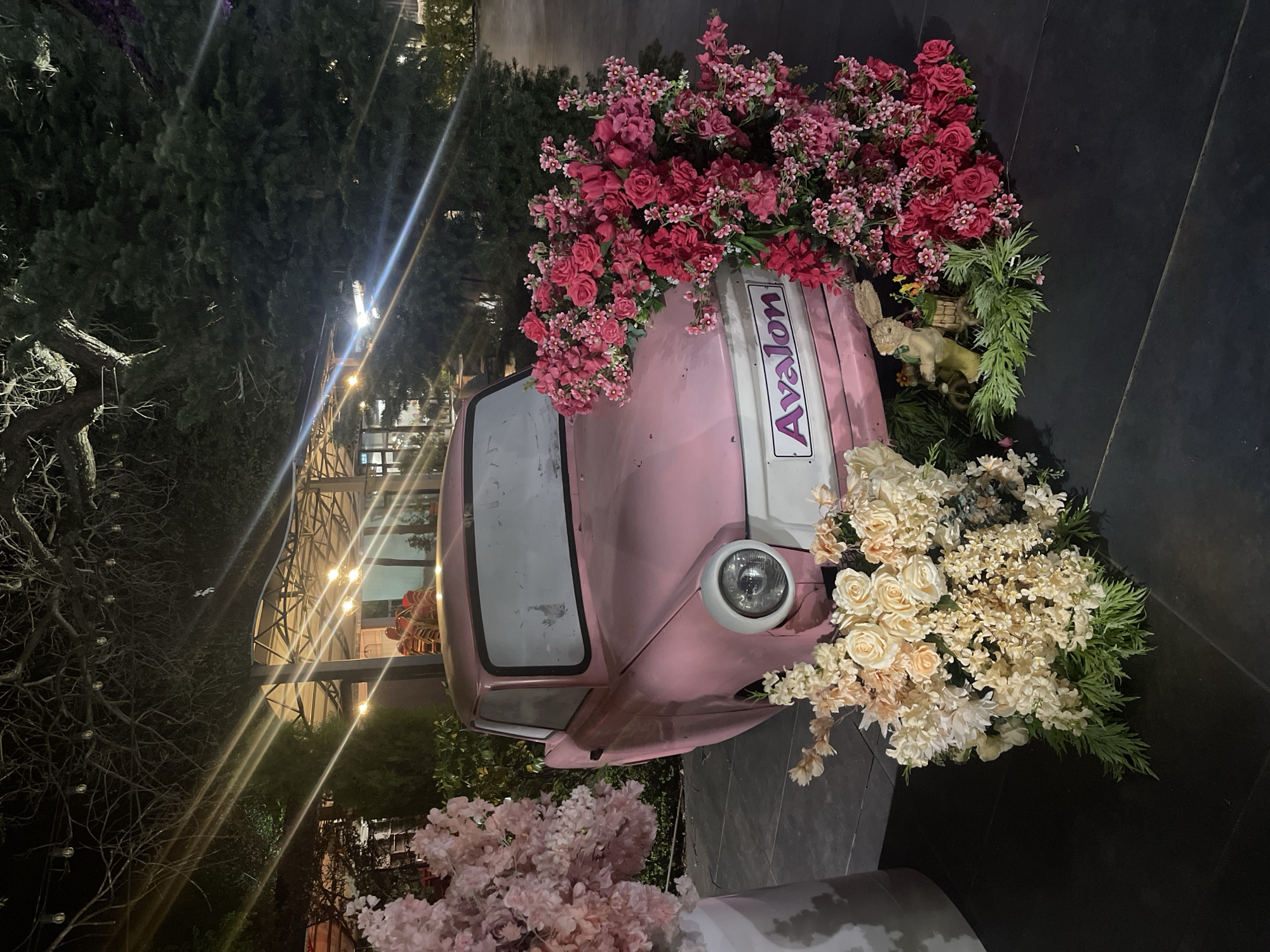 Floral celebration display spotted in Petrich, Bulgaria