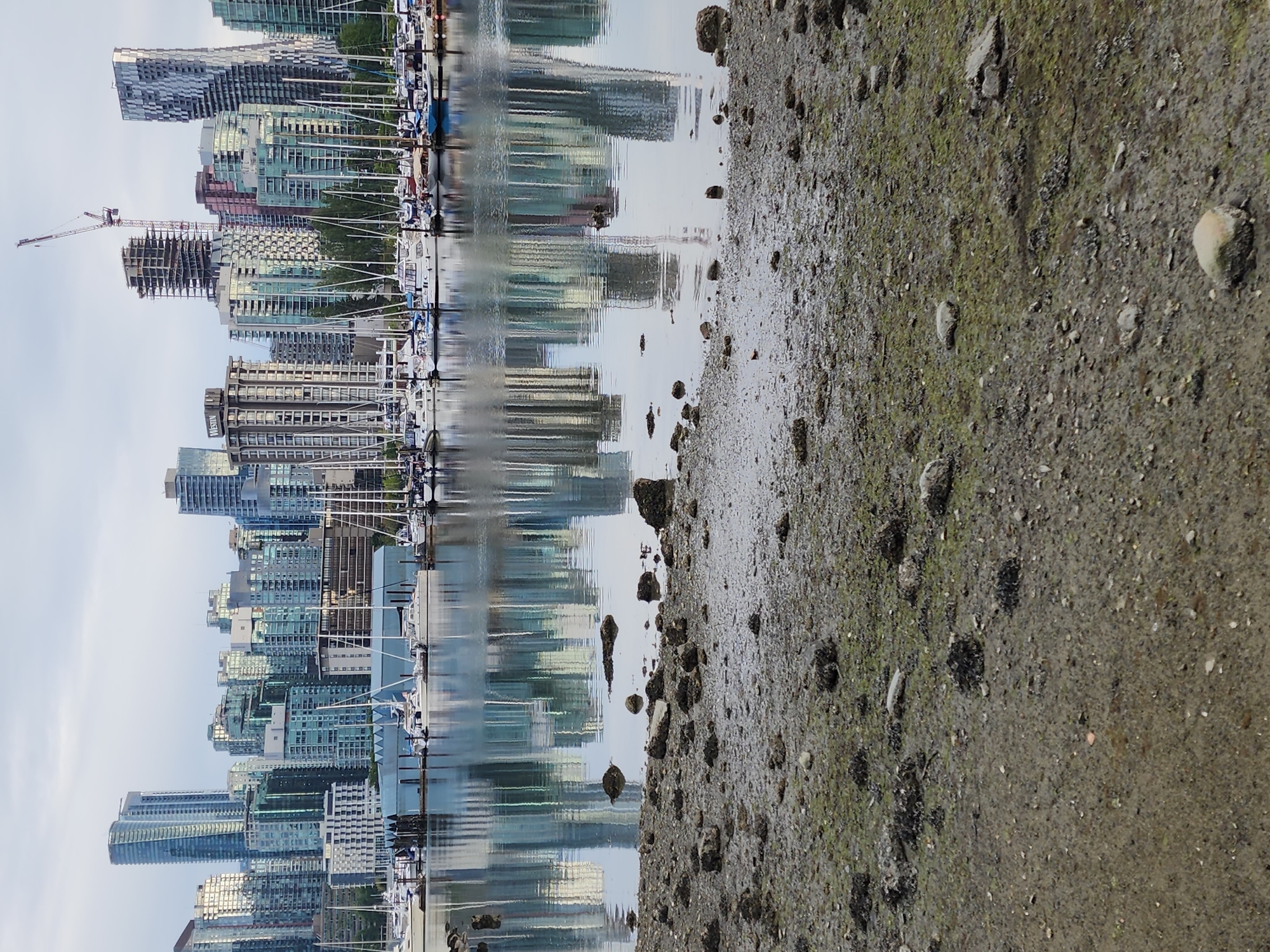The Serene Rhythms of Life Along the Vancouver Waterfront
