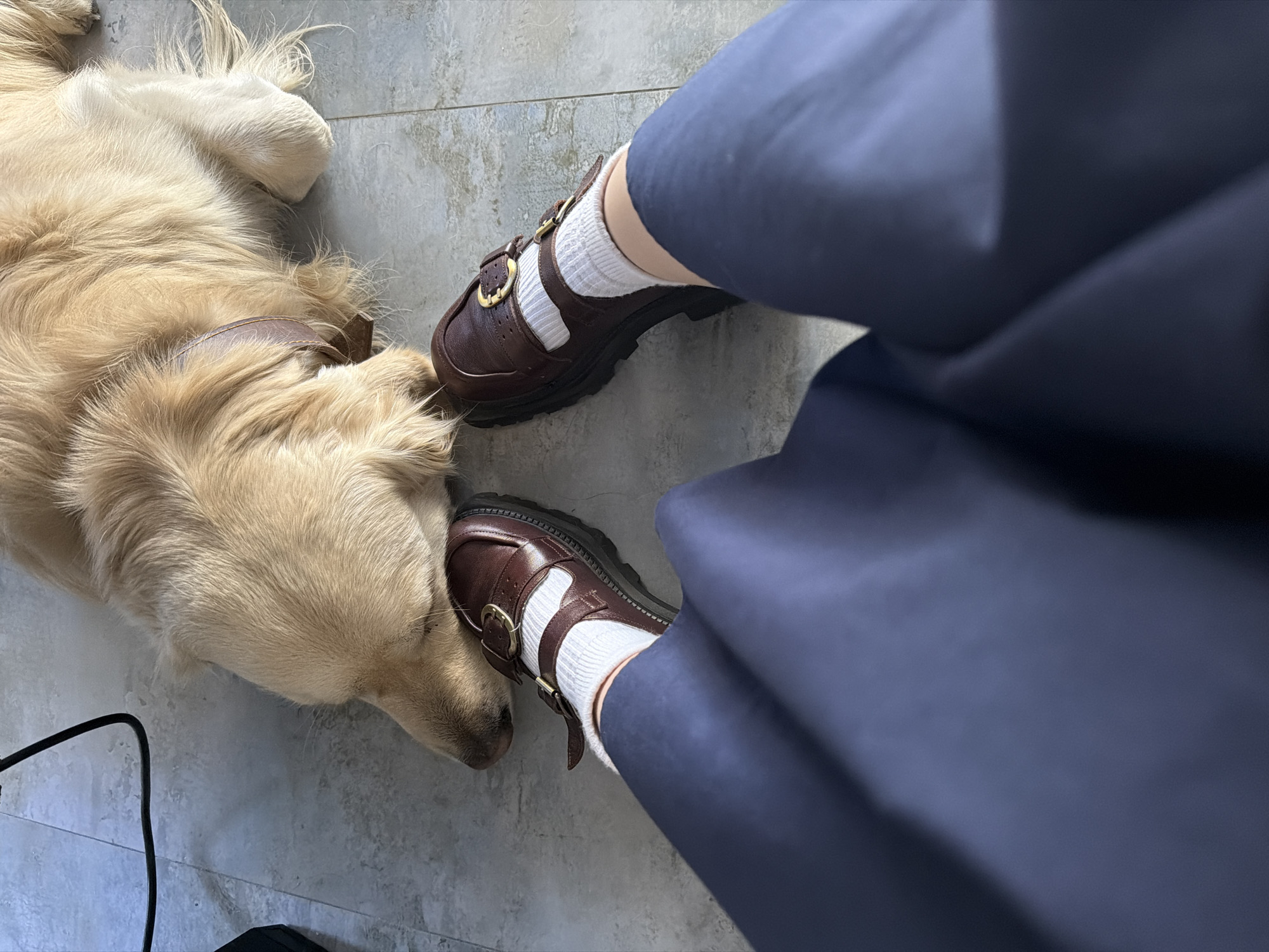 Golden retriever rests head on owner's foot in Yerevan
