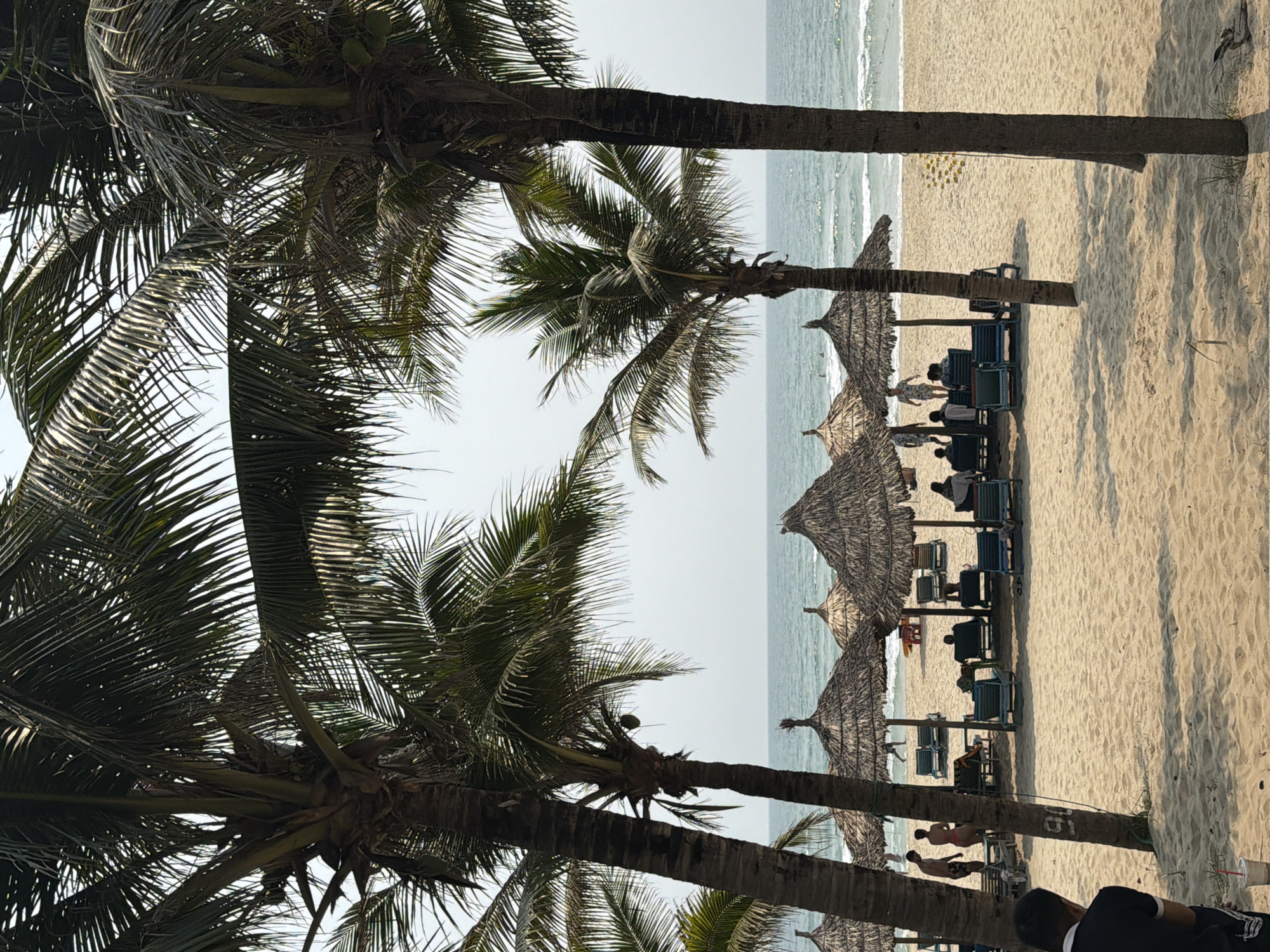 Early morning beach life documented in Đà Nẵng, Vietnam