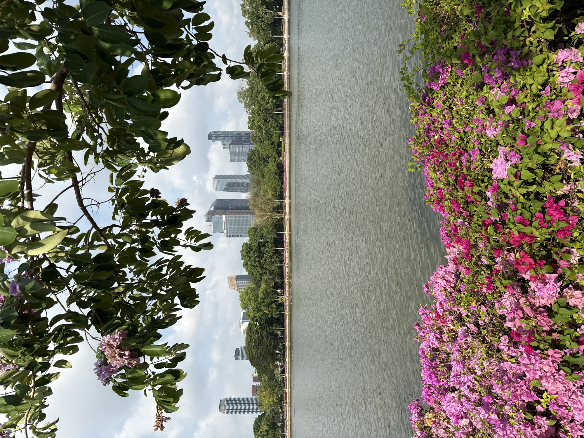 Early morning Bangkok scenes captured around shrines and Lumphini Park