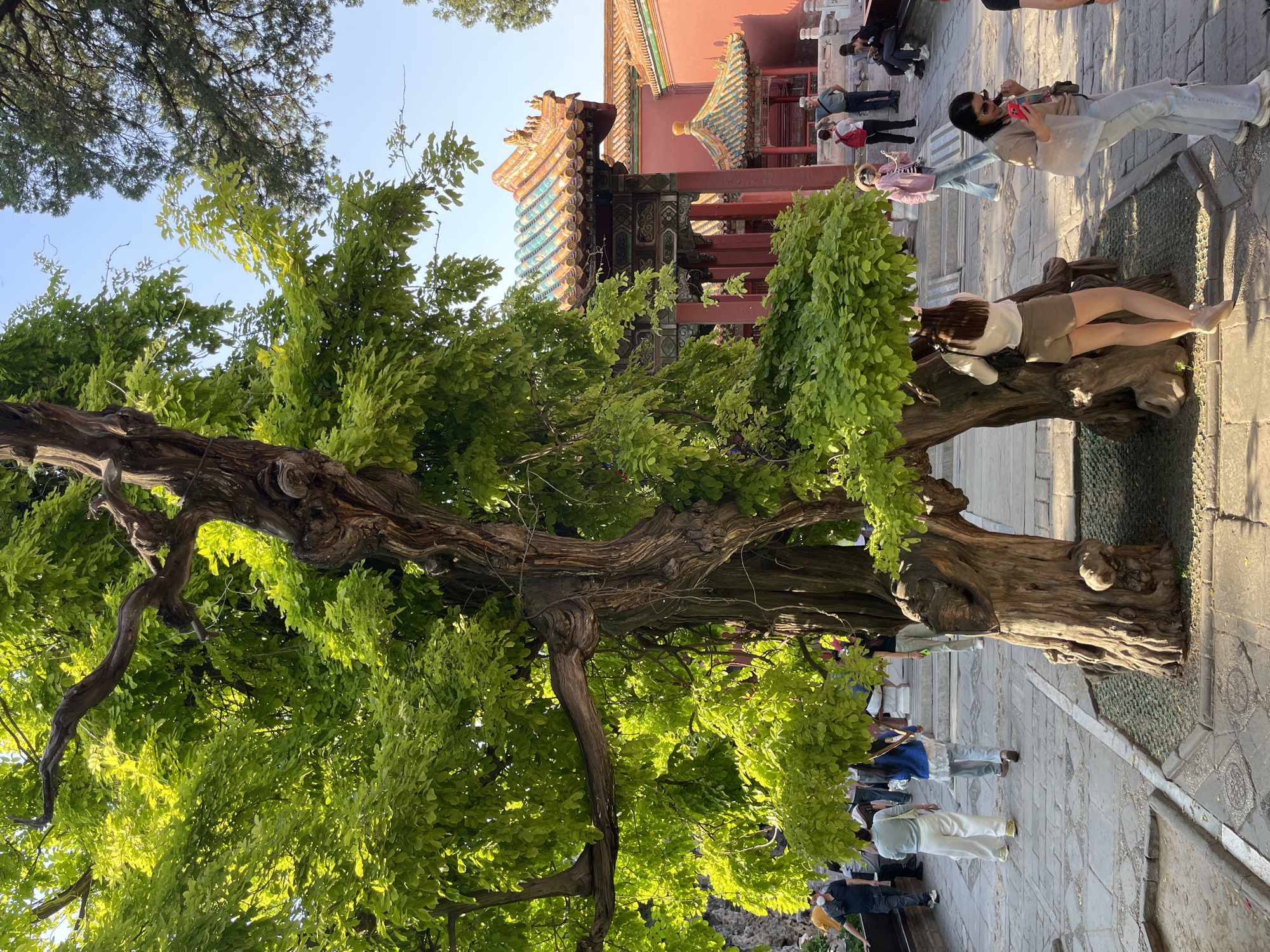 Tourists visit traditional architecture site in Beijing's Dongcheng District