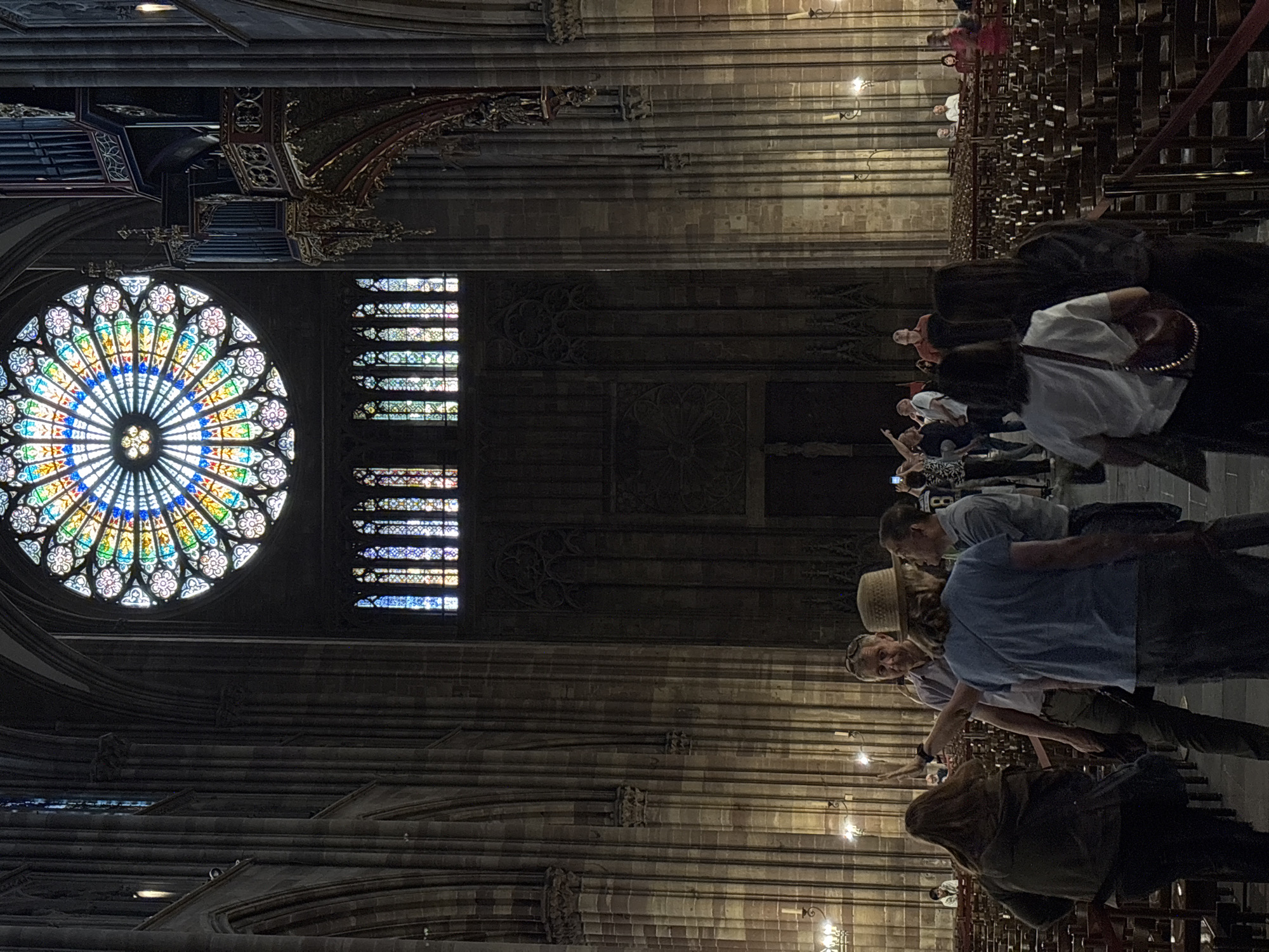 Strasbourg cathedral and Petite France canal exploration