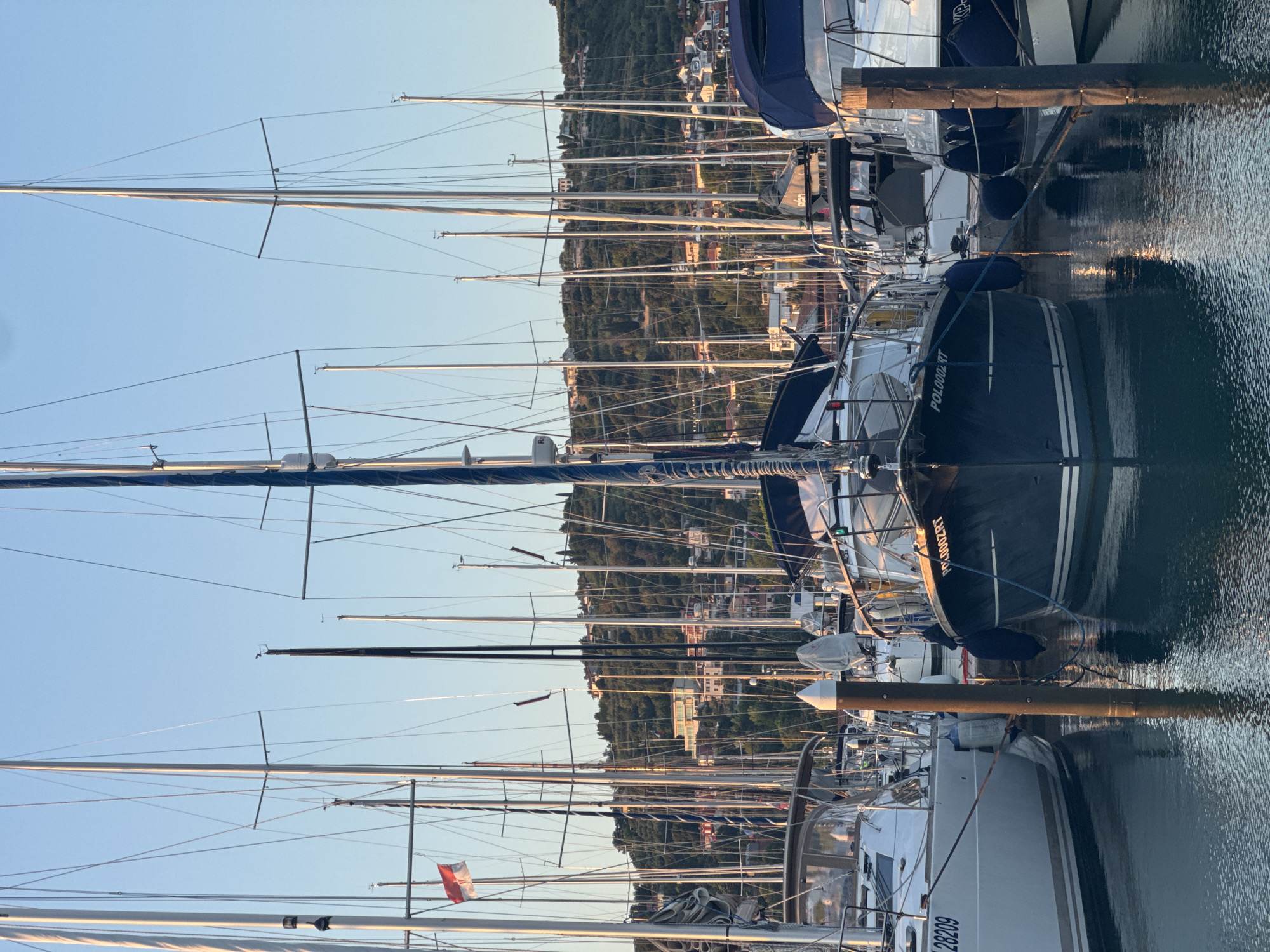 Sailboats moored at a marina during golden hour