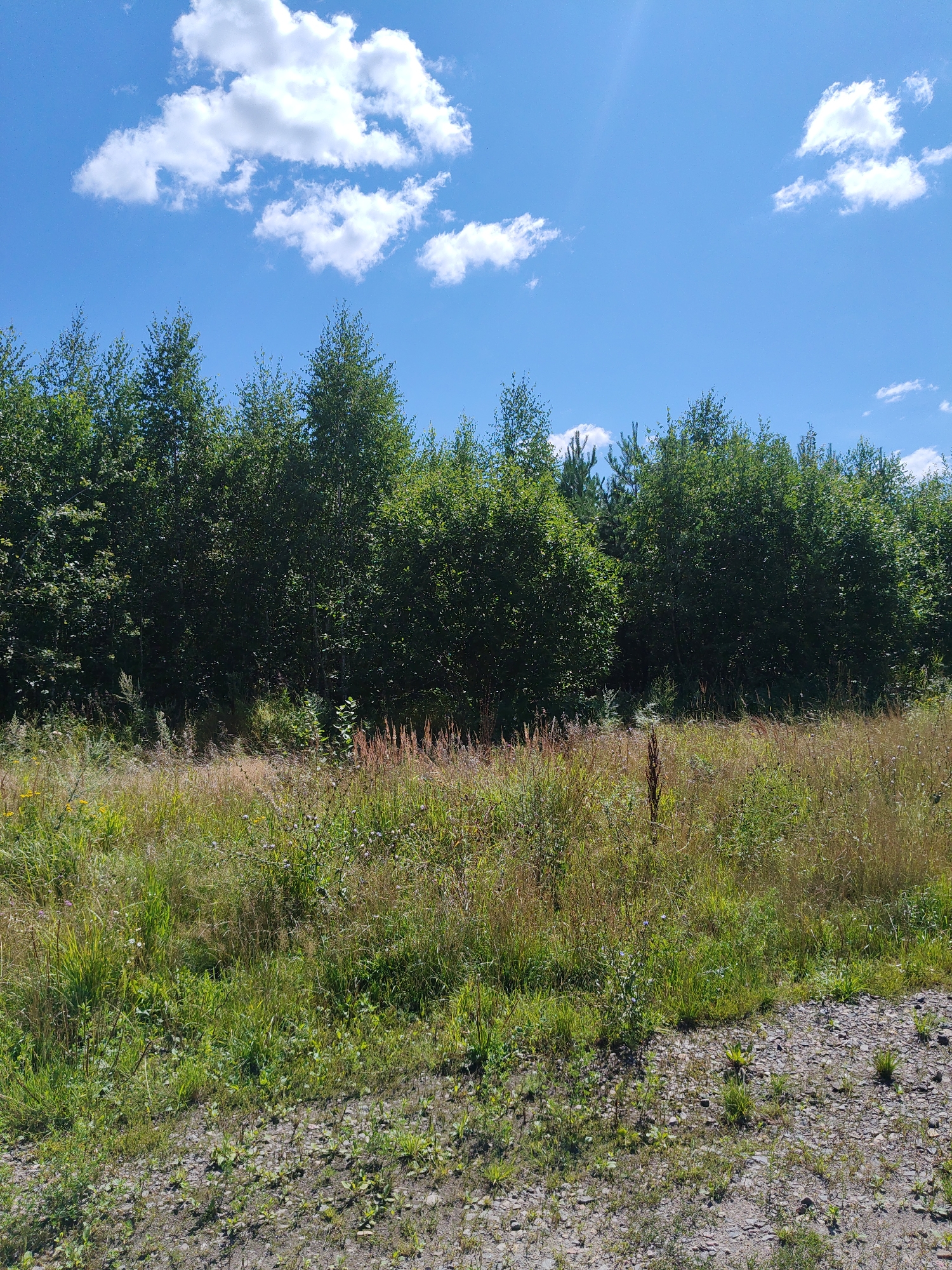 Sosnovyy Bor, Russia