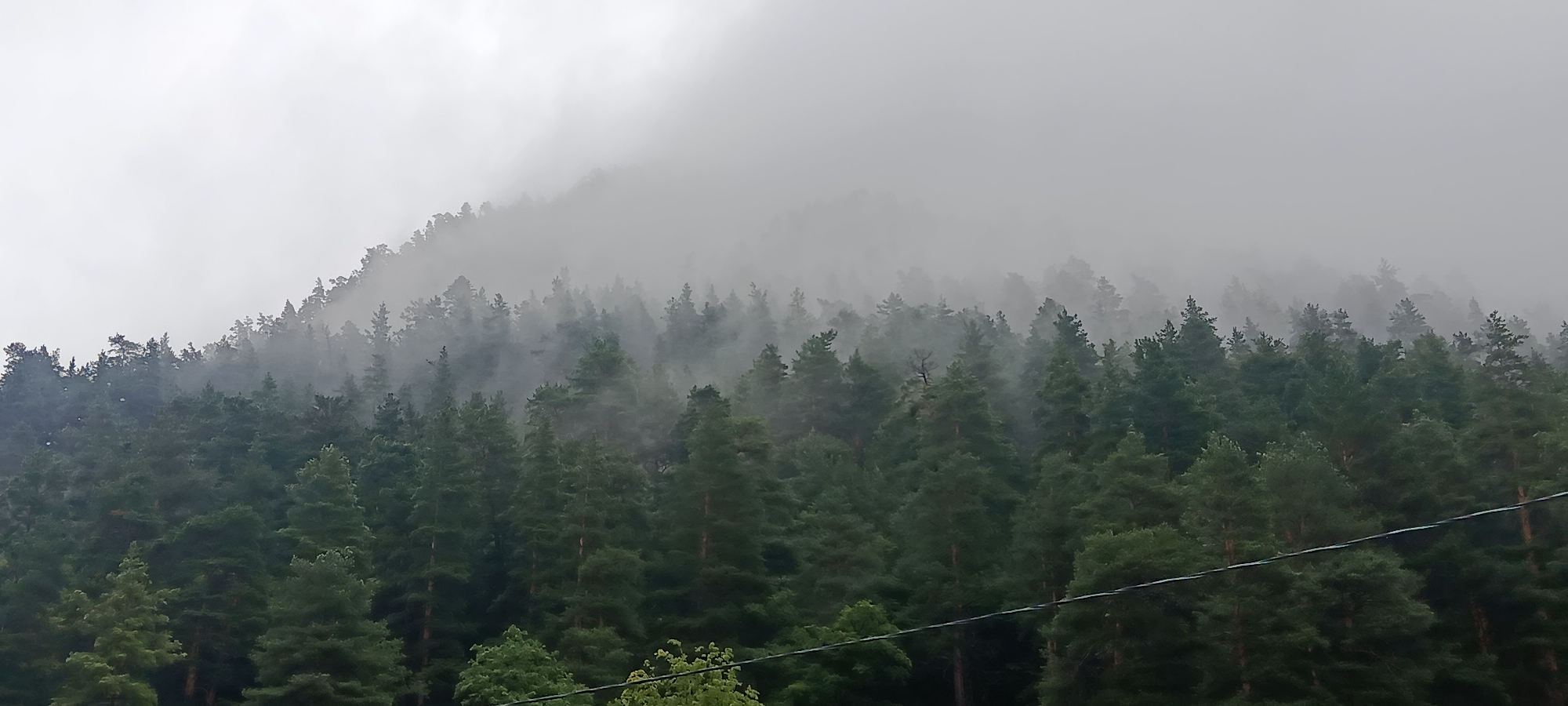 Foggy morning in Teberda's mountain streets and forests