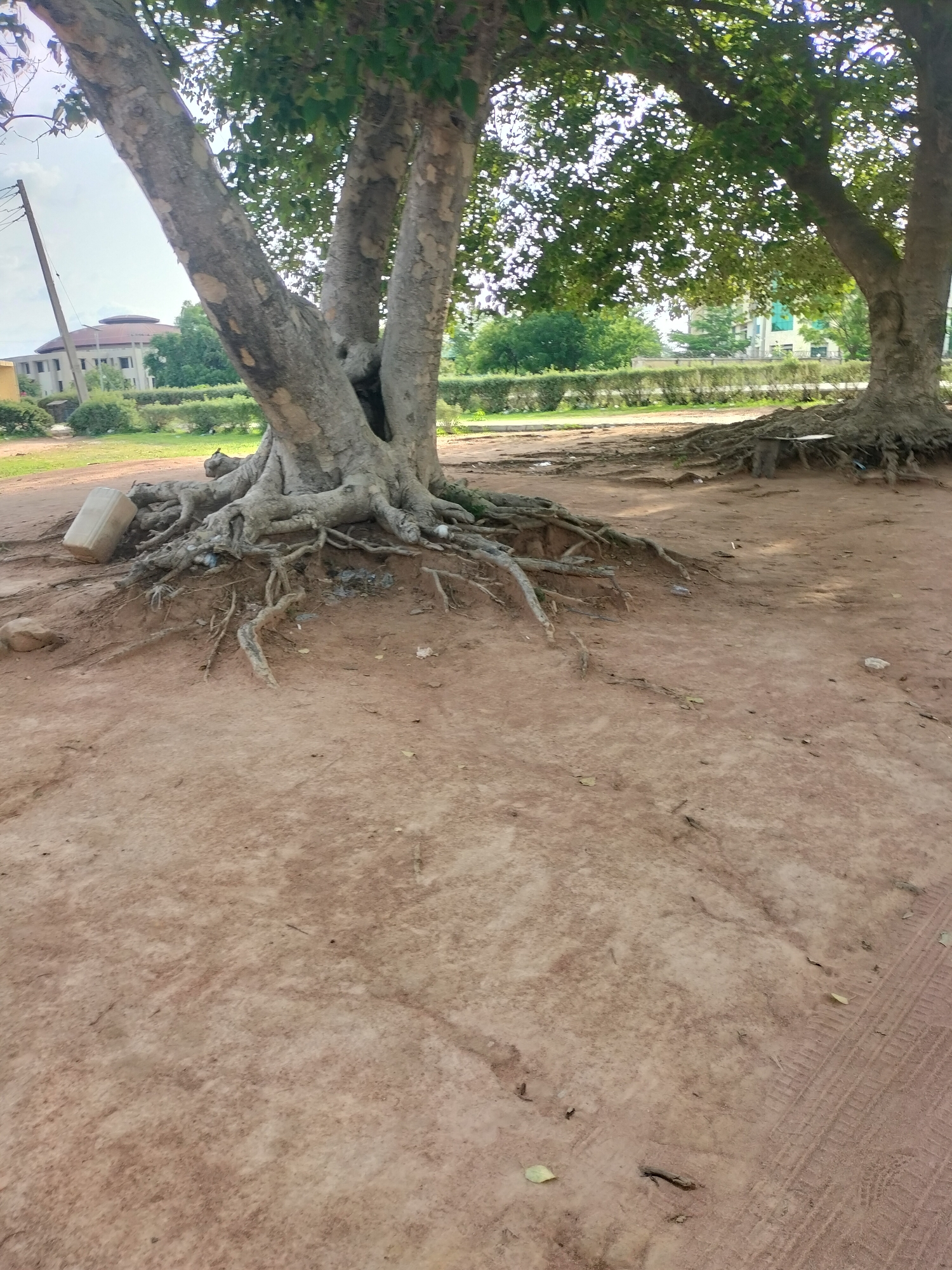 Around Taraba State University, Jalingo, on a June afternoon