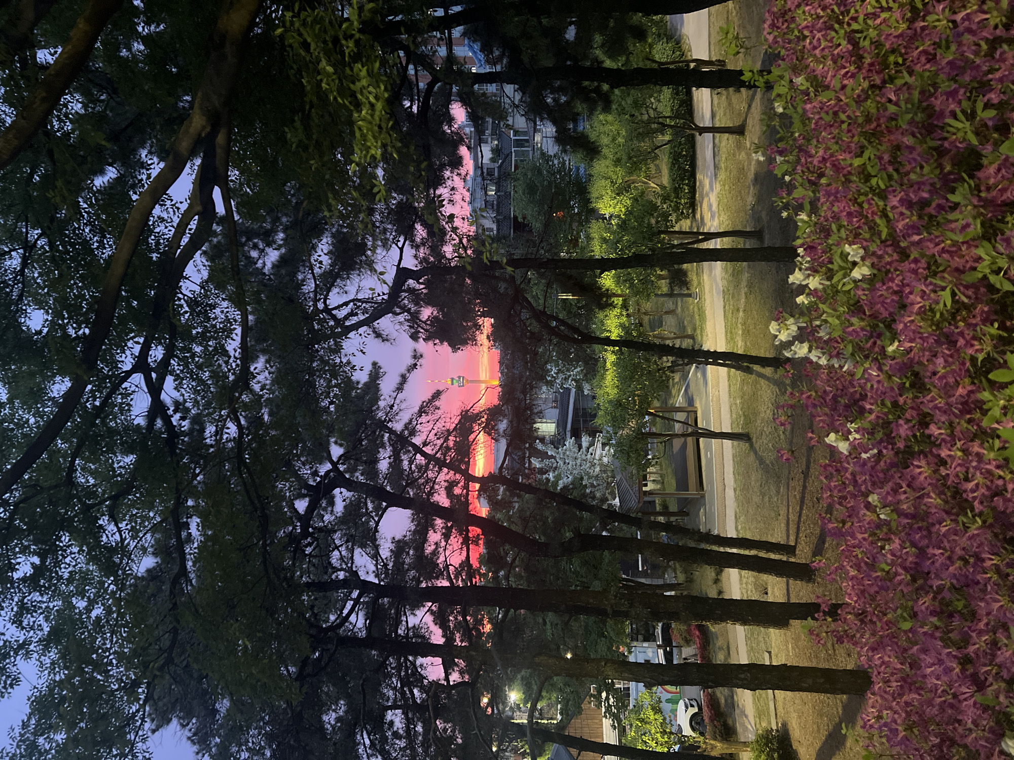 Colorful sunset captured over Daegu urban park