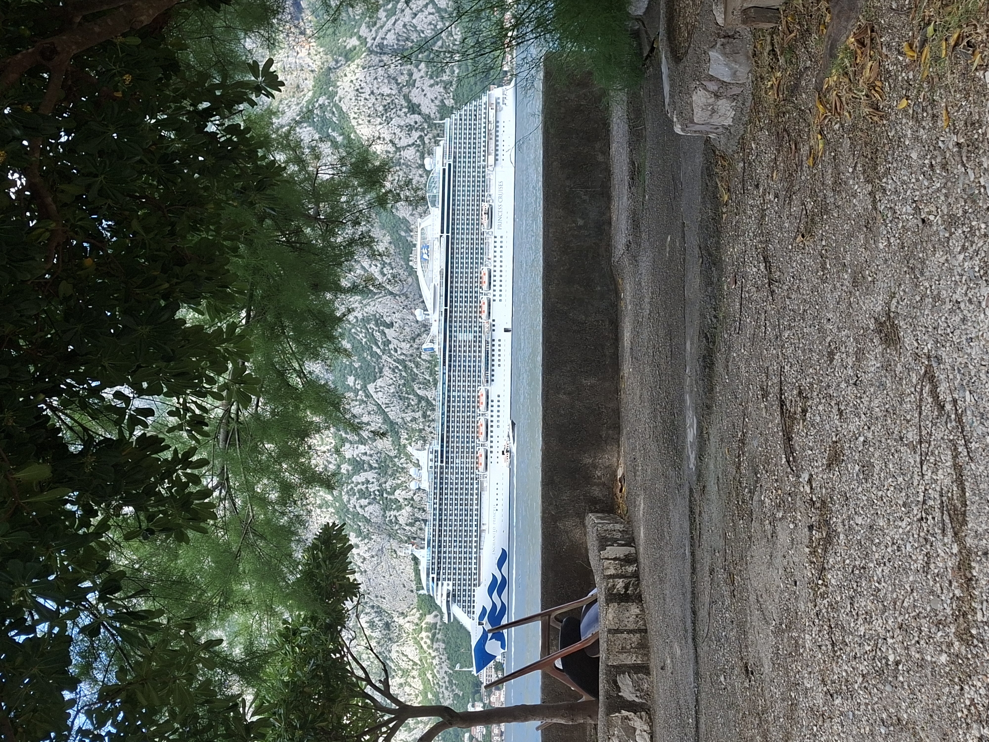 Princess Cruises ship transits mountainous waterway