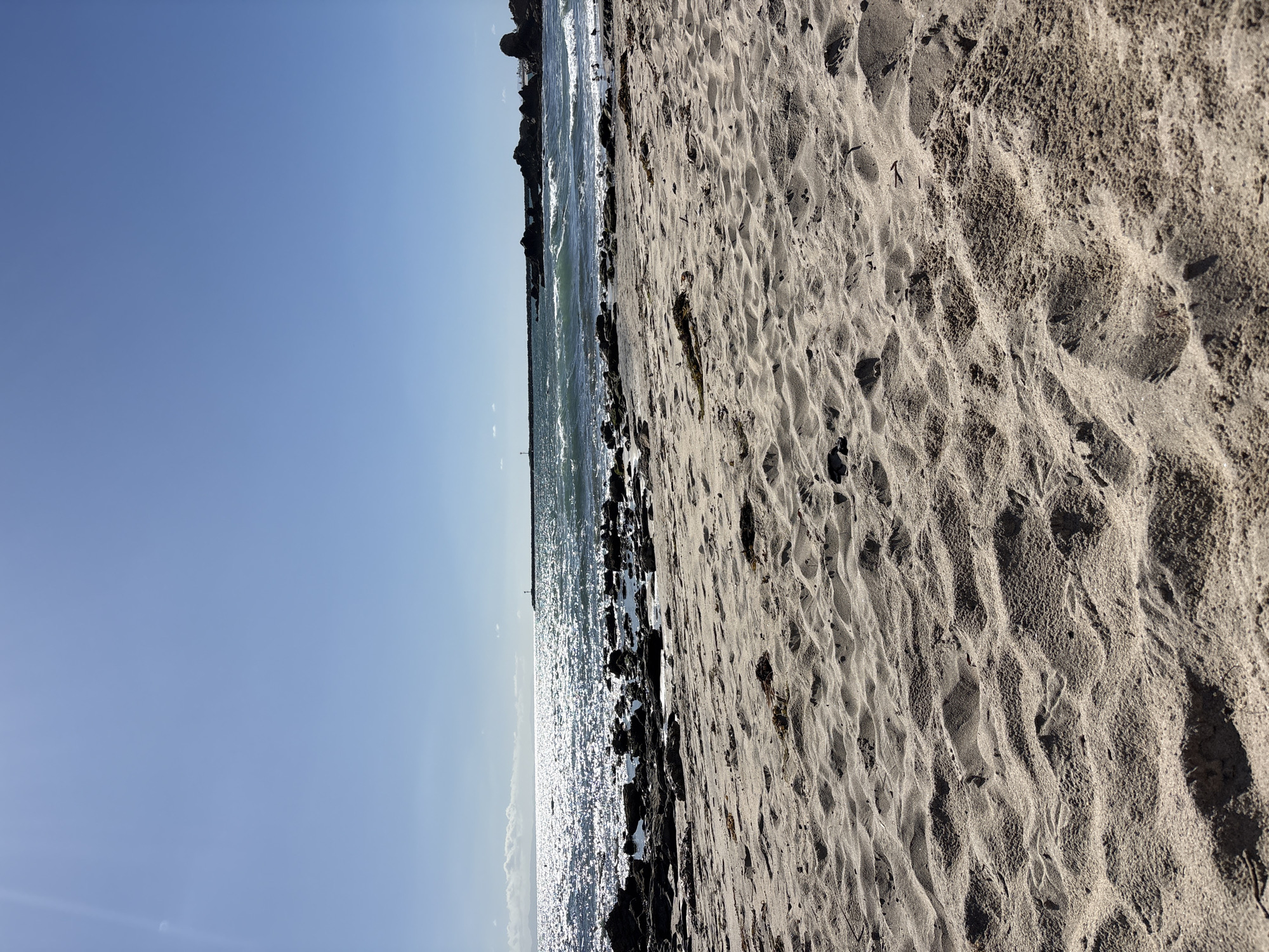 Nighttime beach scene documented in Newport Beach