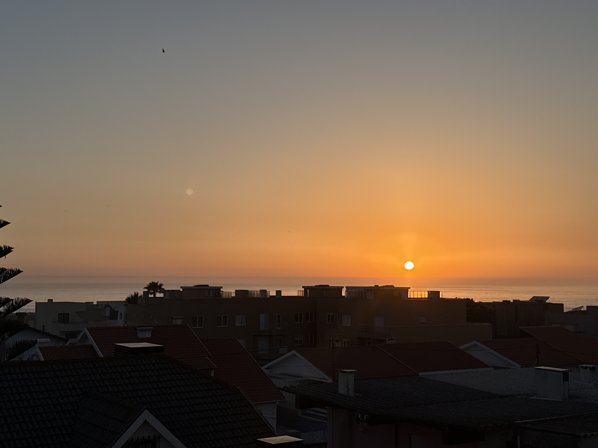 Evening moments captured in Vila Nova de Gaia