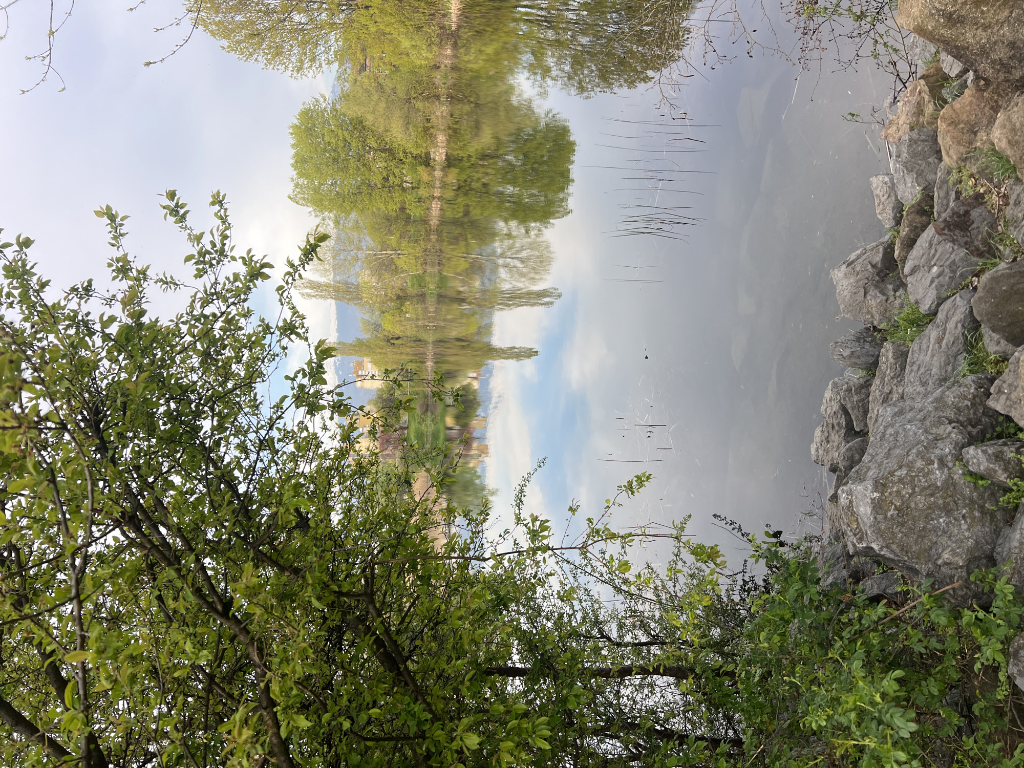 Early morning reflections captured at Sofia urban park