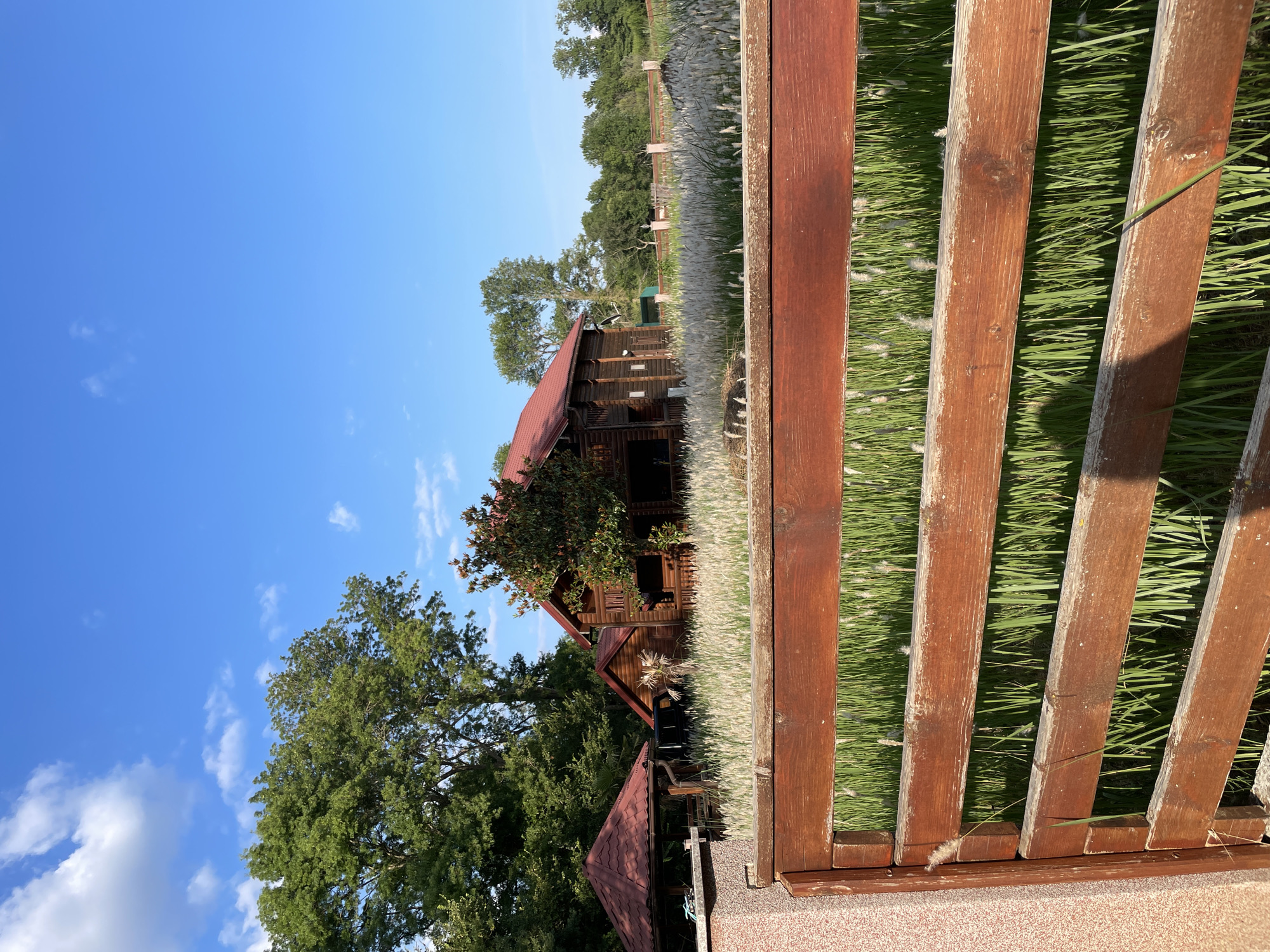 Lazy summer afternoon around rural Montenegro