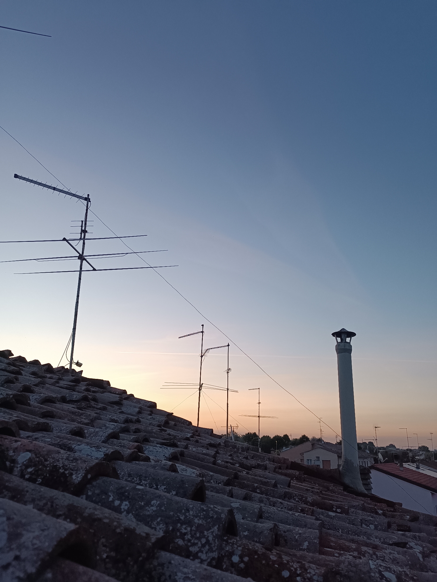 Rooftop dawn in Viadana — tiles, antennas, a cat, and soft sky