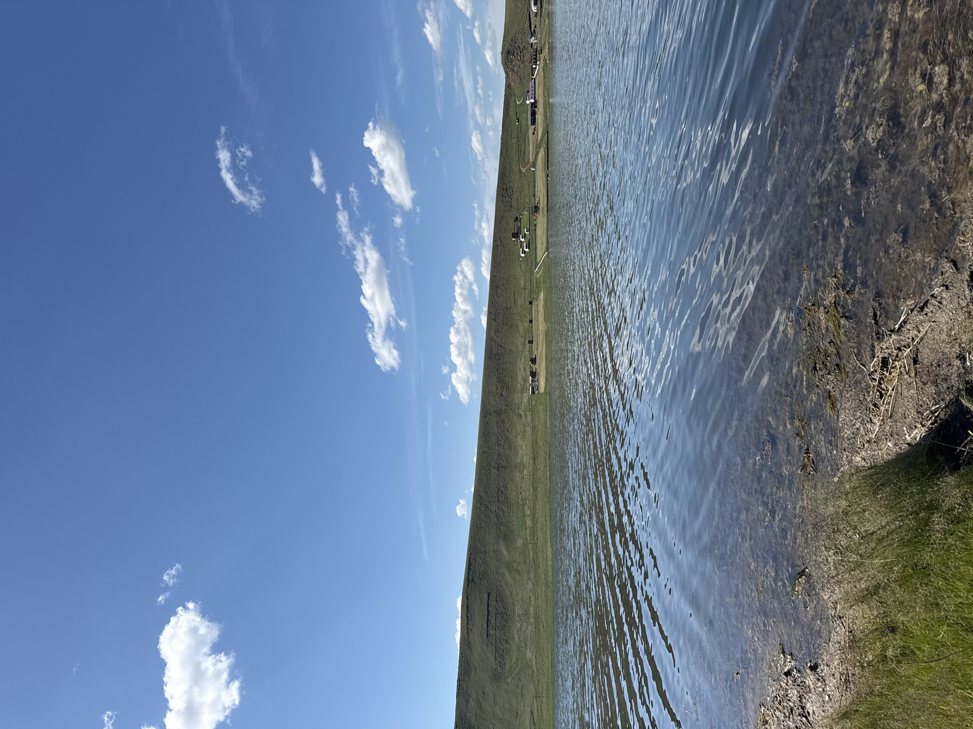 Lazy morning by the lake, wildflowers and wide skies