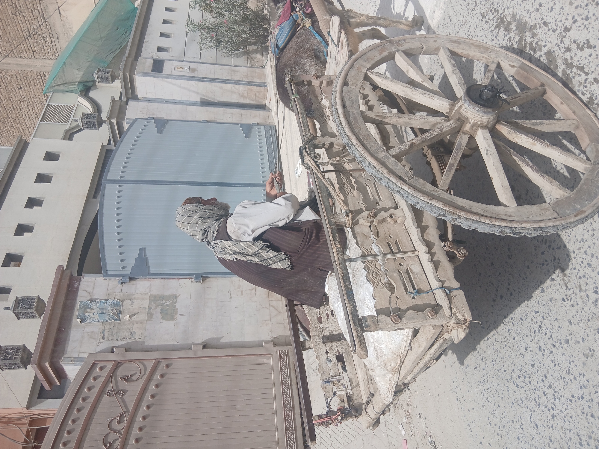 Traditional donkey cart spotted in Quetta City Tehsil