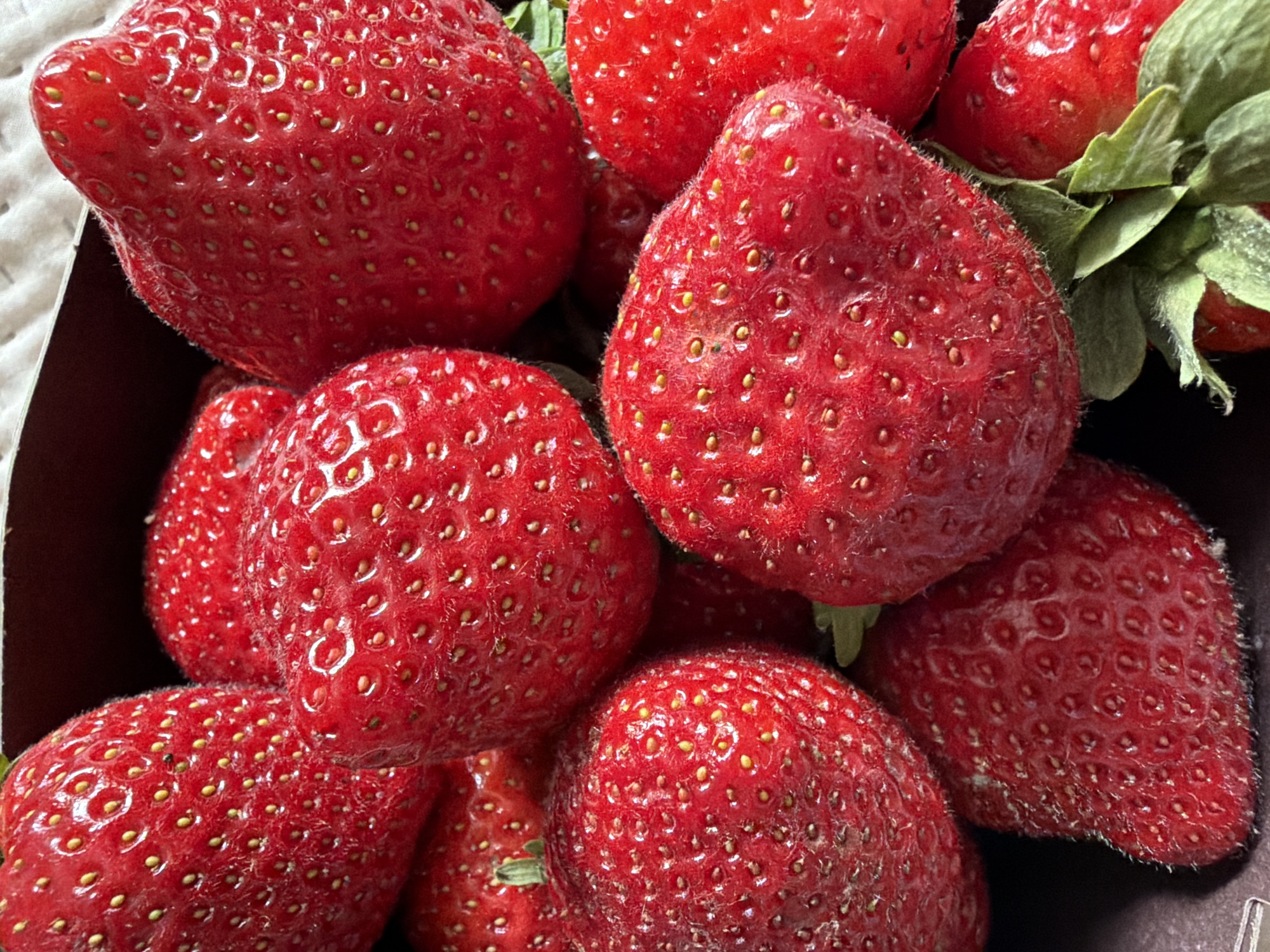 Fresh berry shopping in Tallinn market