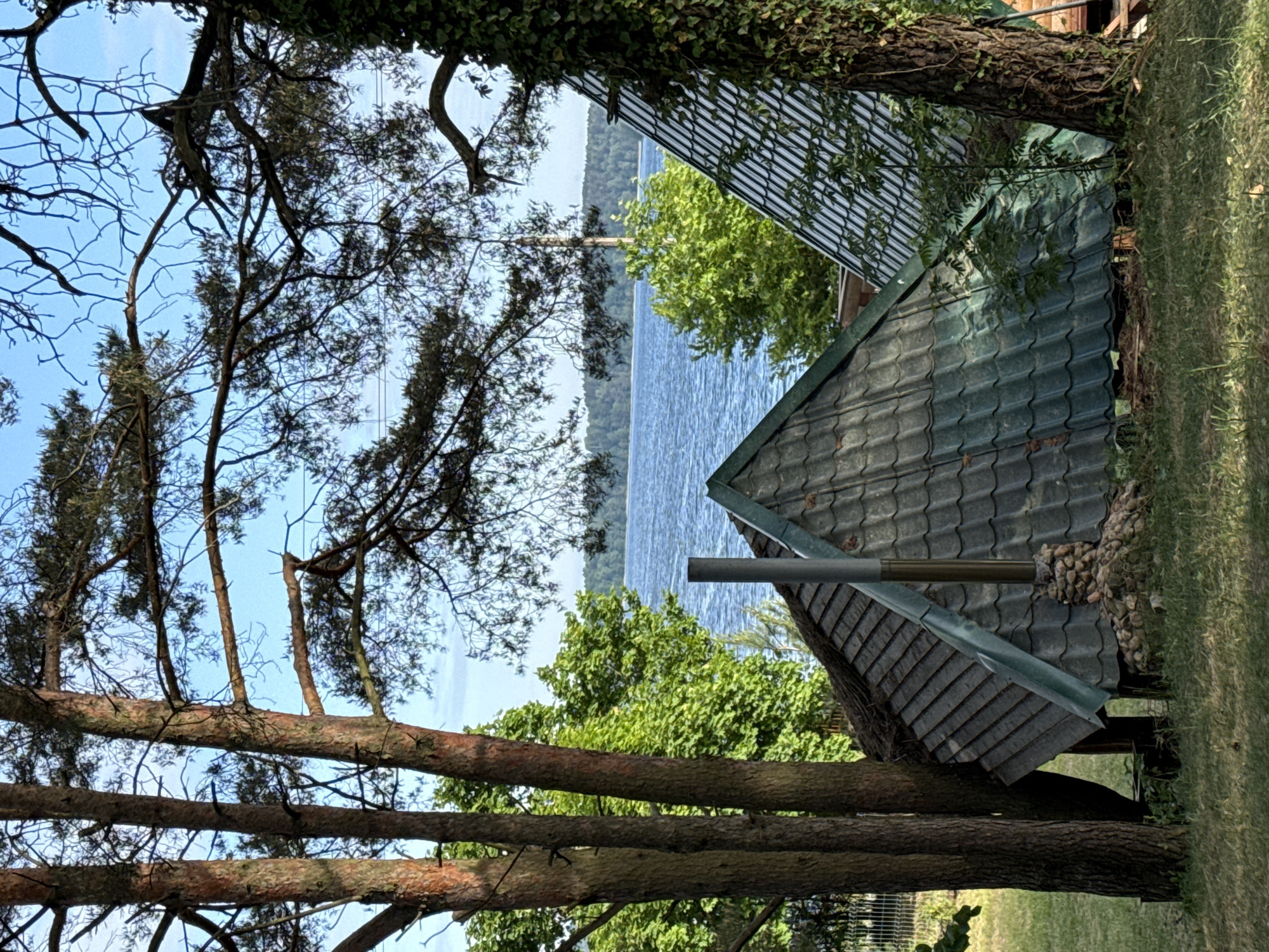 Morning lakeside documentation at Polish forest retreat captures peaceful moments
