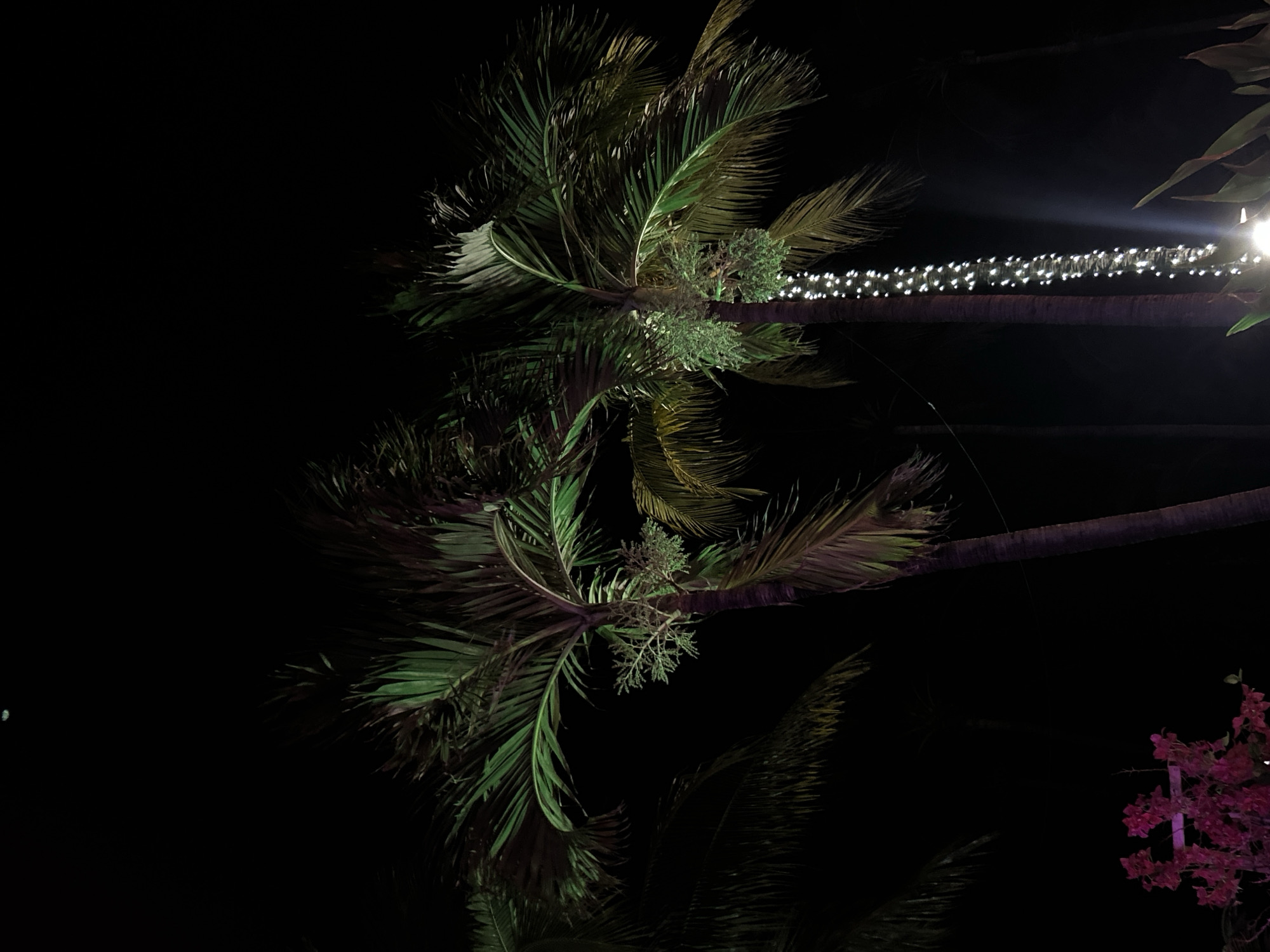 Late-night Miami Beach outing documented through street scenes