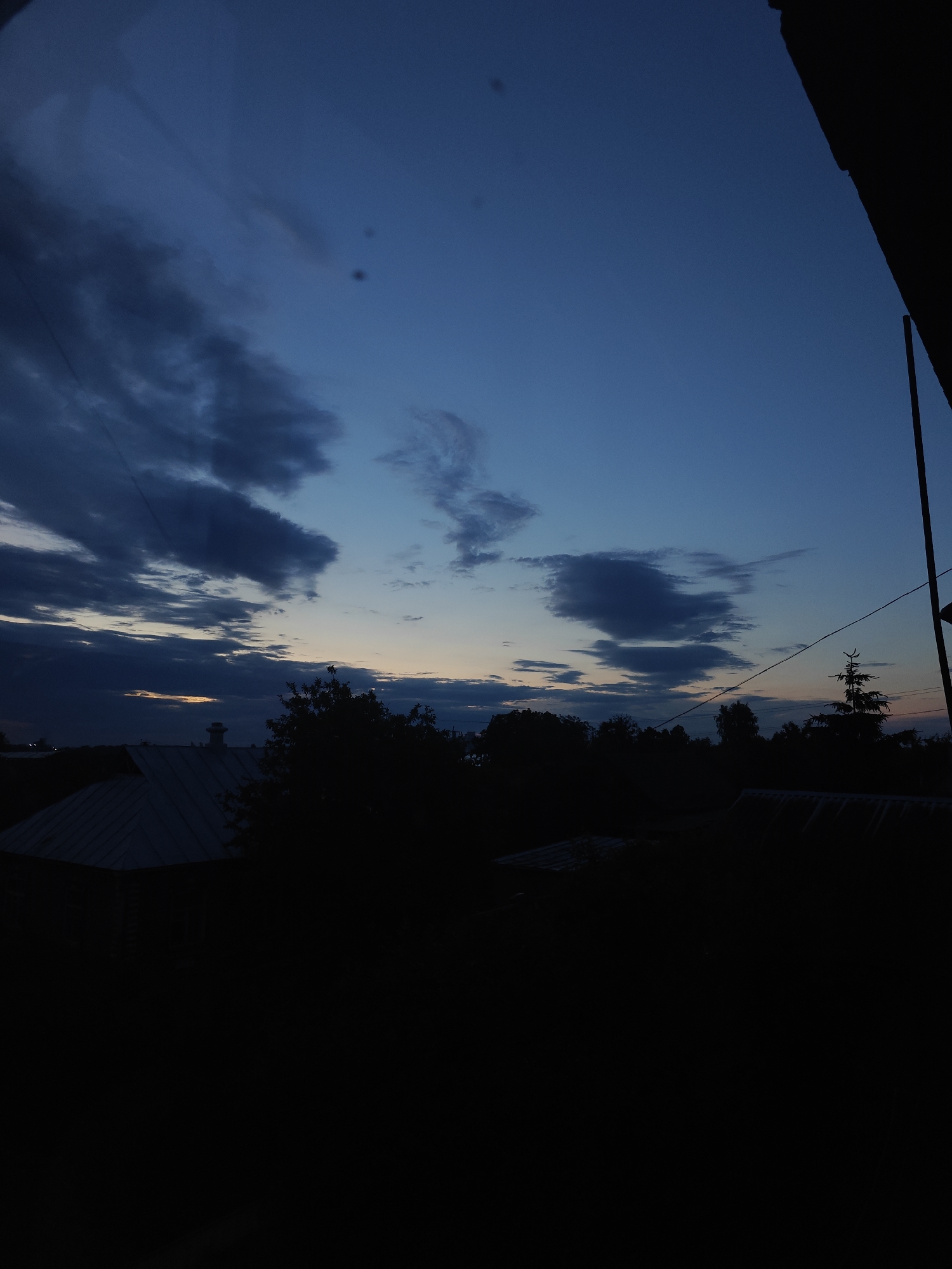 Evening domestic life documented in Hadiach: chinchillas, peonies, twilight