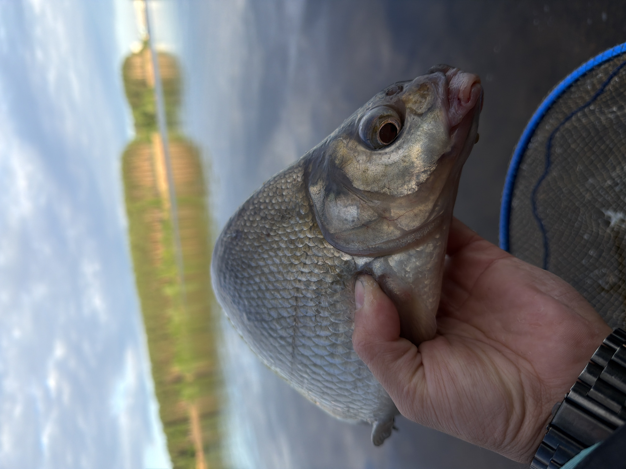 Bream fishing on the Kama River at Chaikovsky, Russia