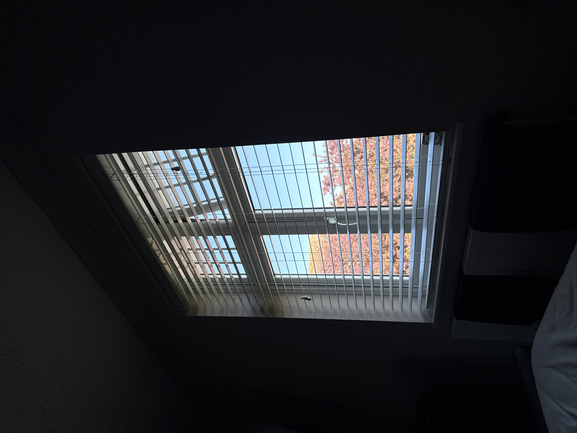 Morning interior view captured in Hitchin room with skylight