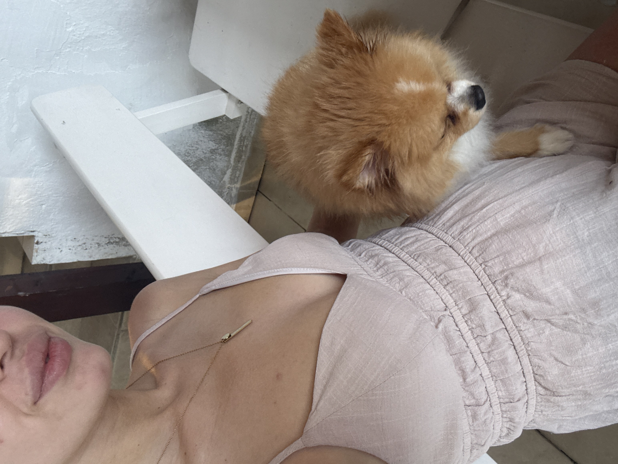 Casual dining with Pomeranian in Kiten restaurant setting