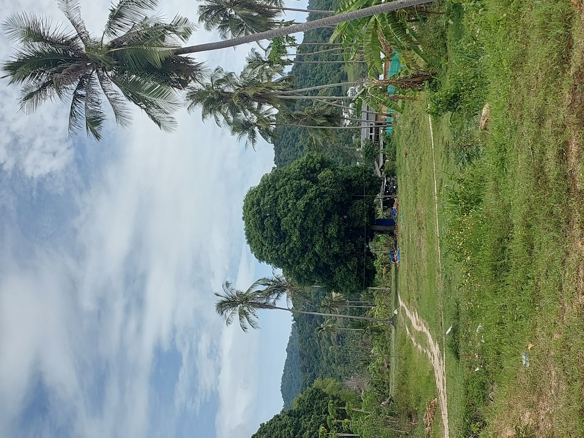 Rural dirt path and scattered buildings in Ko Samui's interior