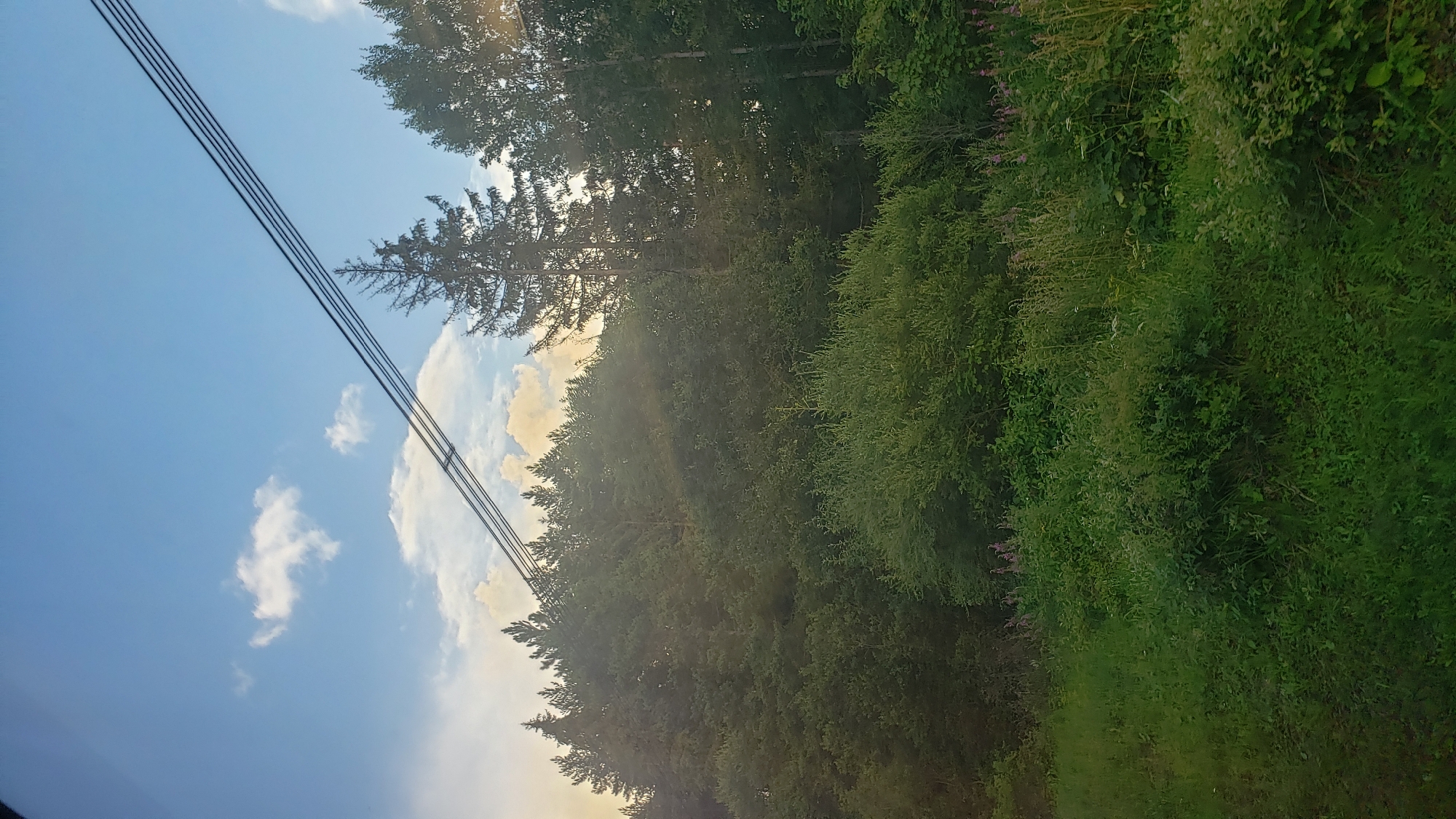 Dense Slovak forest and open sky near Štrba