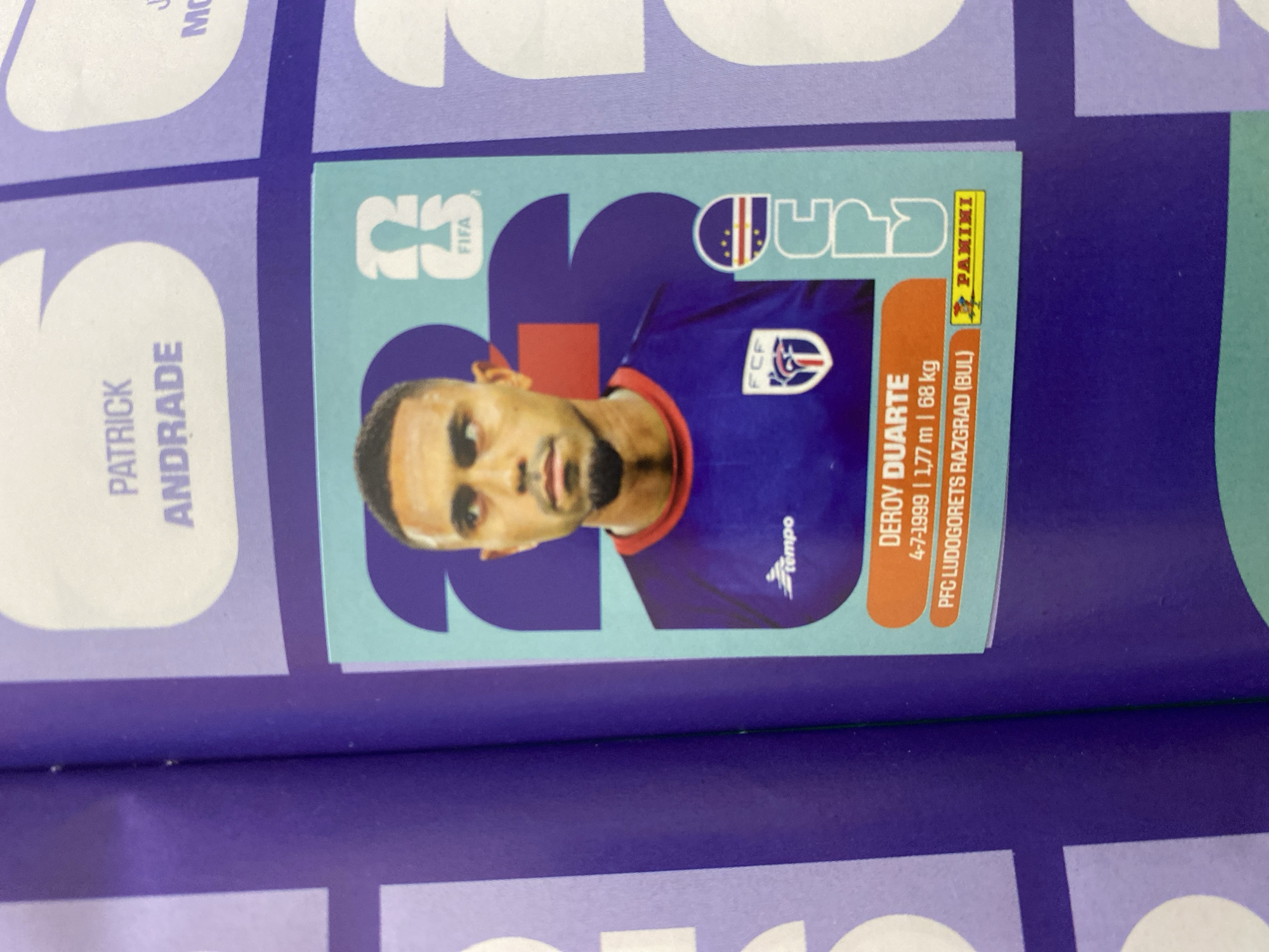Flipping through a FIFA World Cup 2026 Panini sticker album in Kyiv