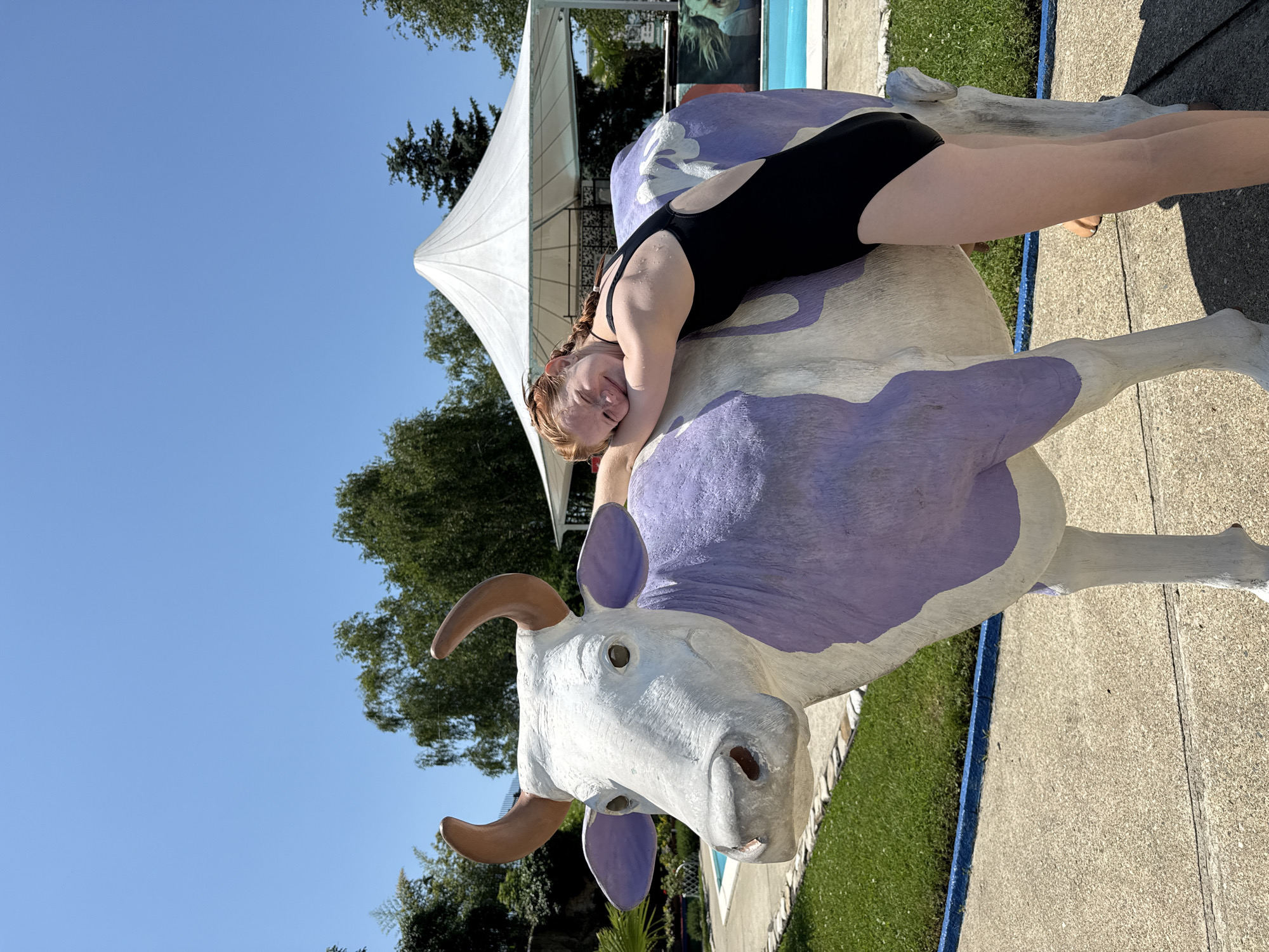 Summer day activities captured at Nebug water park