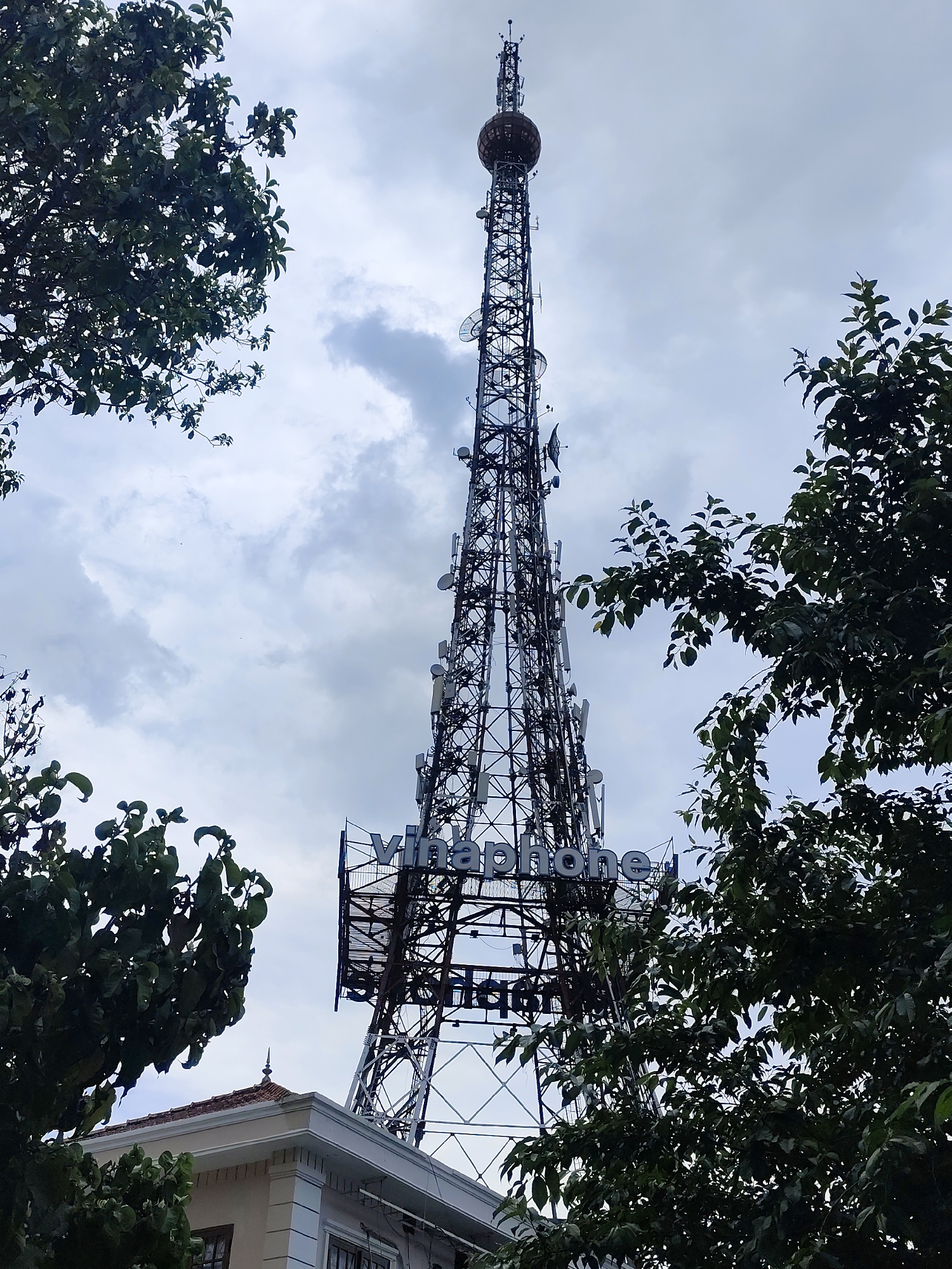 Morning snapshots across Da Lat's streets, shops, and landmarks