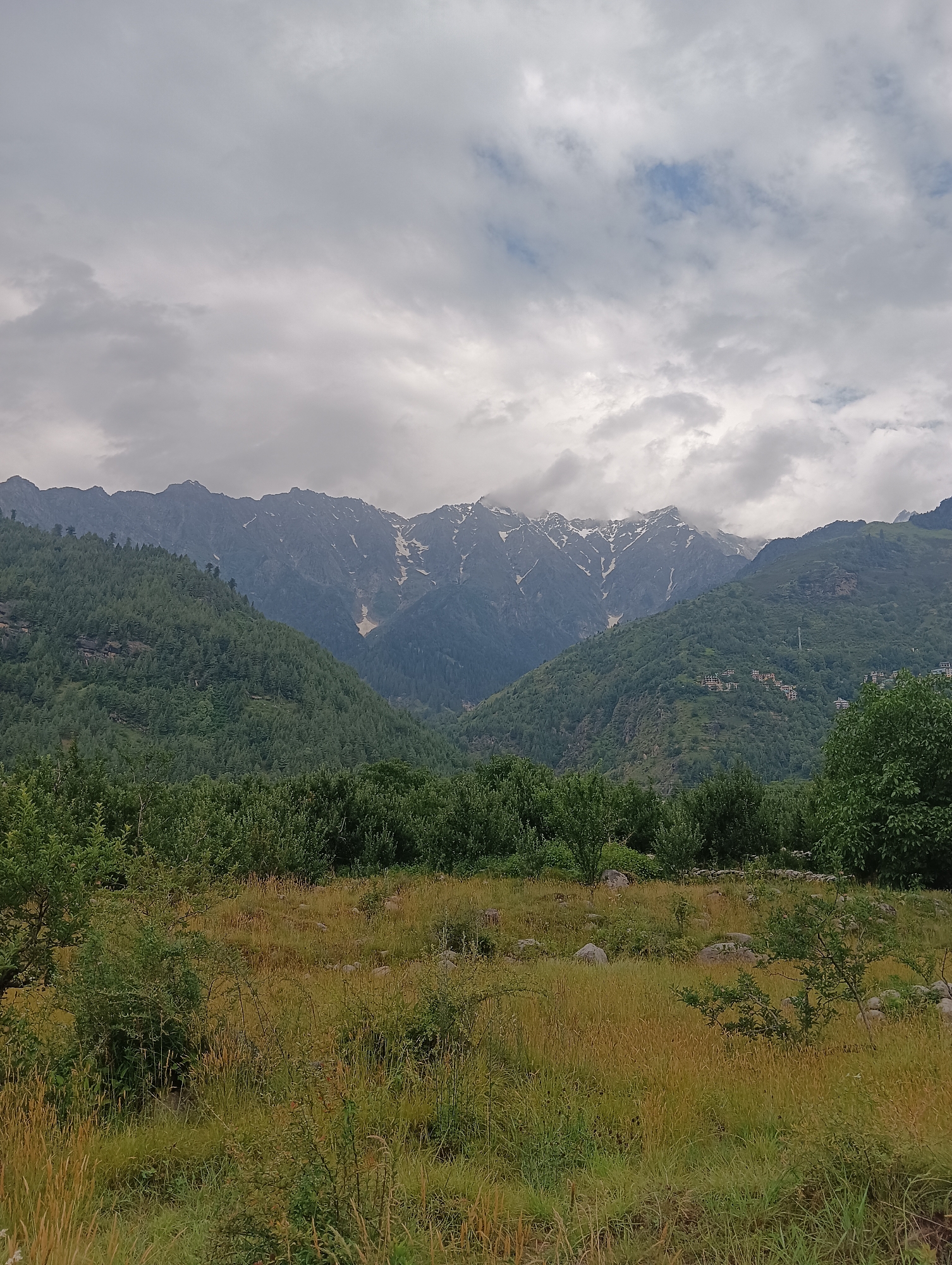 Stone paths and pine hills in the Himachal highlands