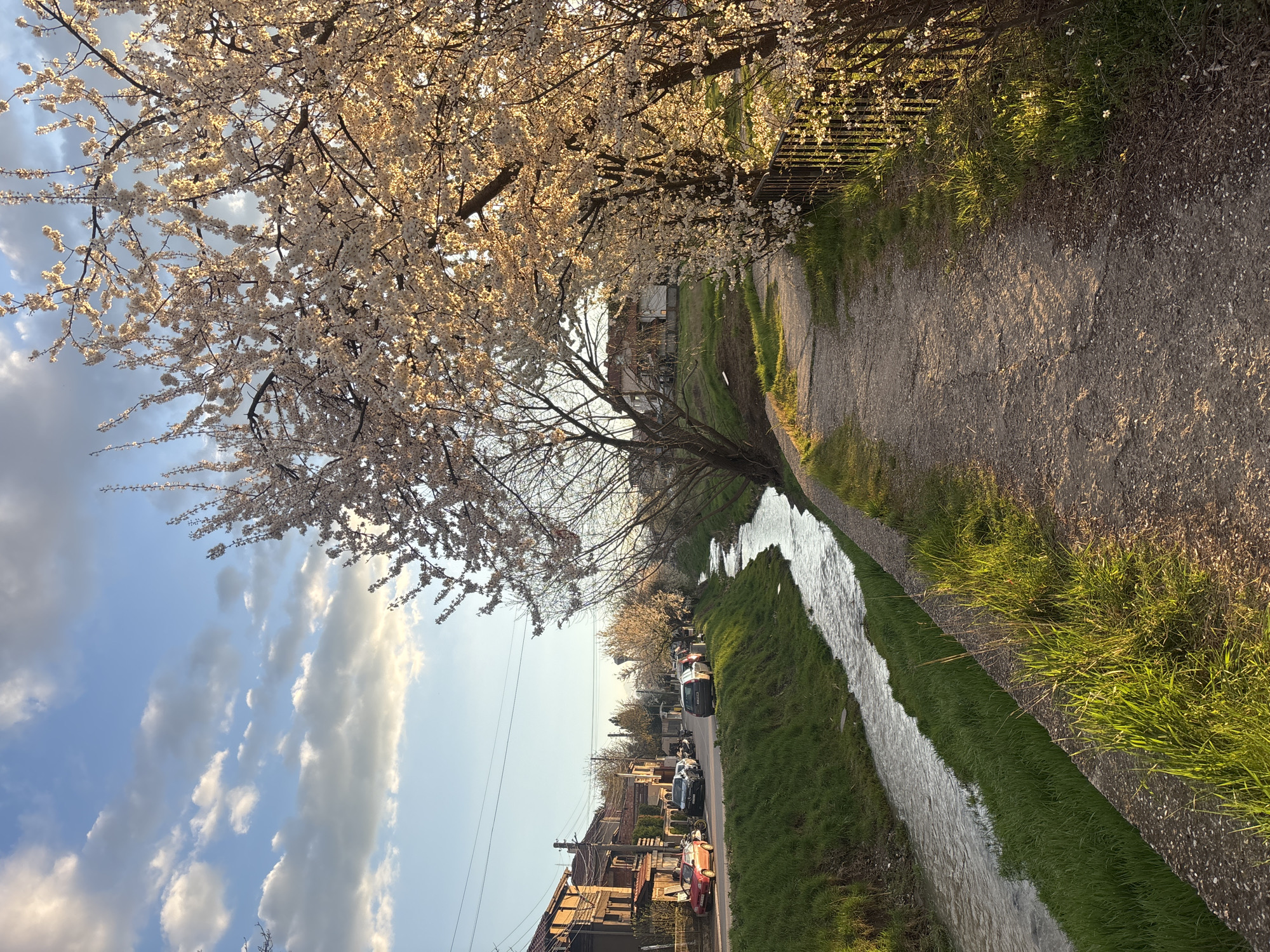 Scenic waterway photographed in Bozhurishte, Bulgaria residential area