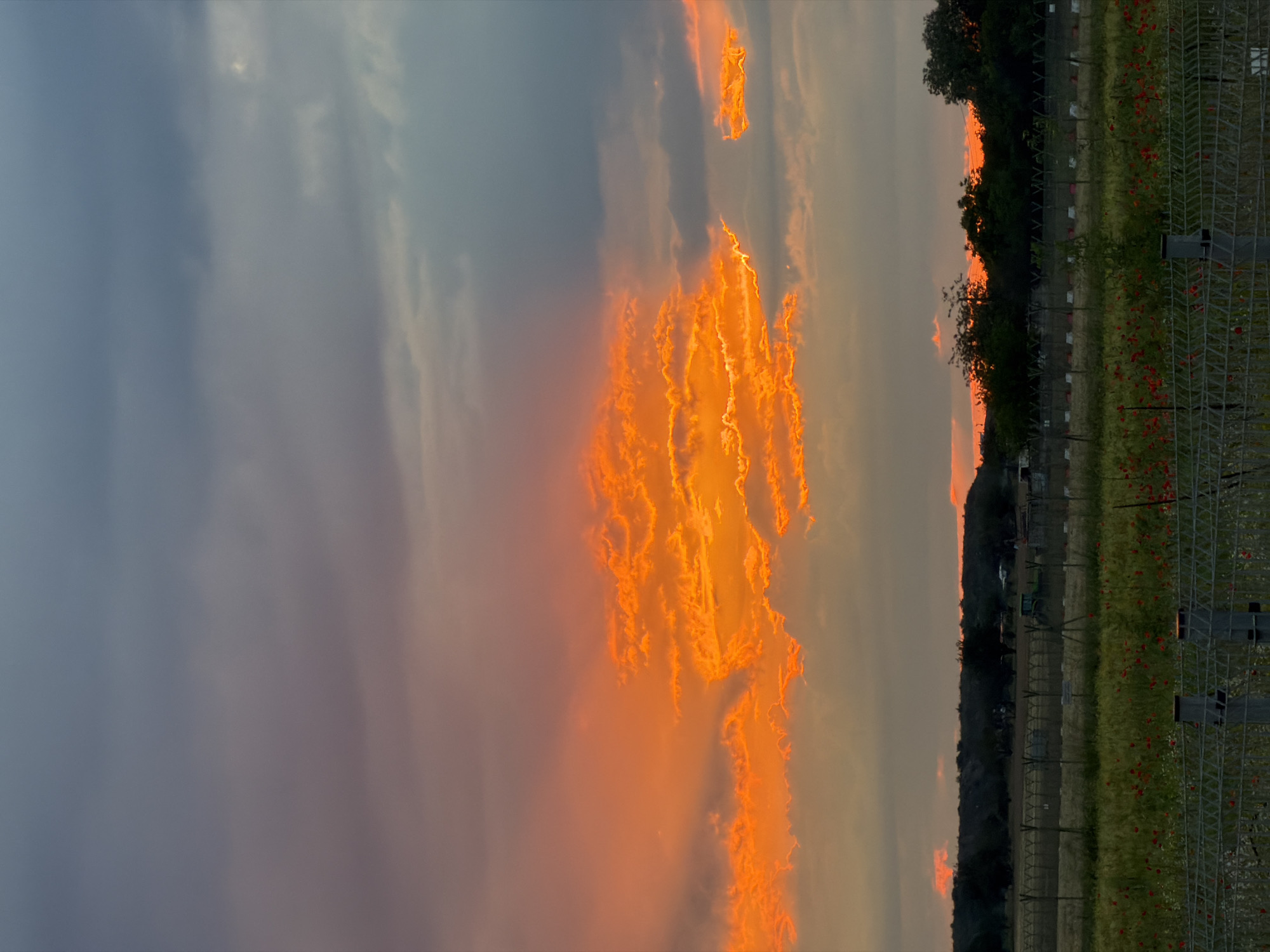 Low-flying aircraft observed over Sofia during dramatic sunset