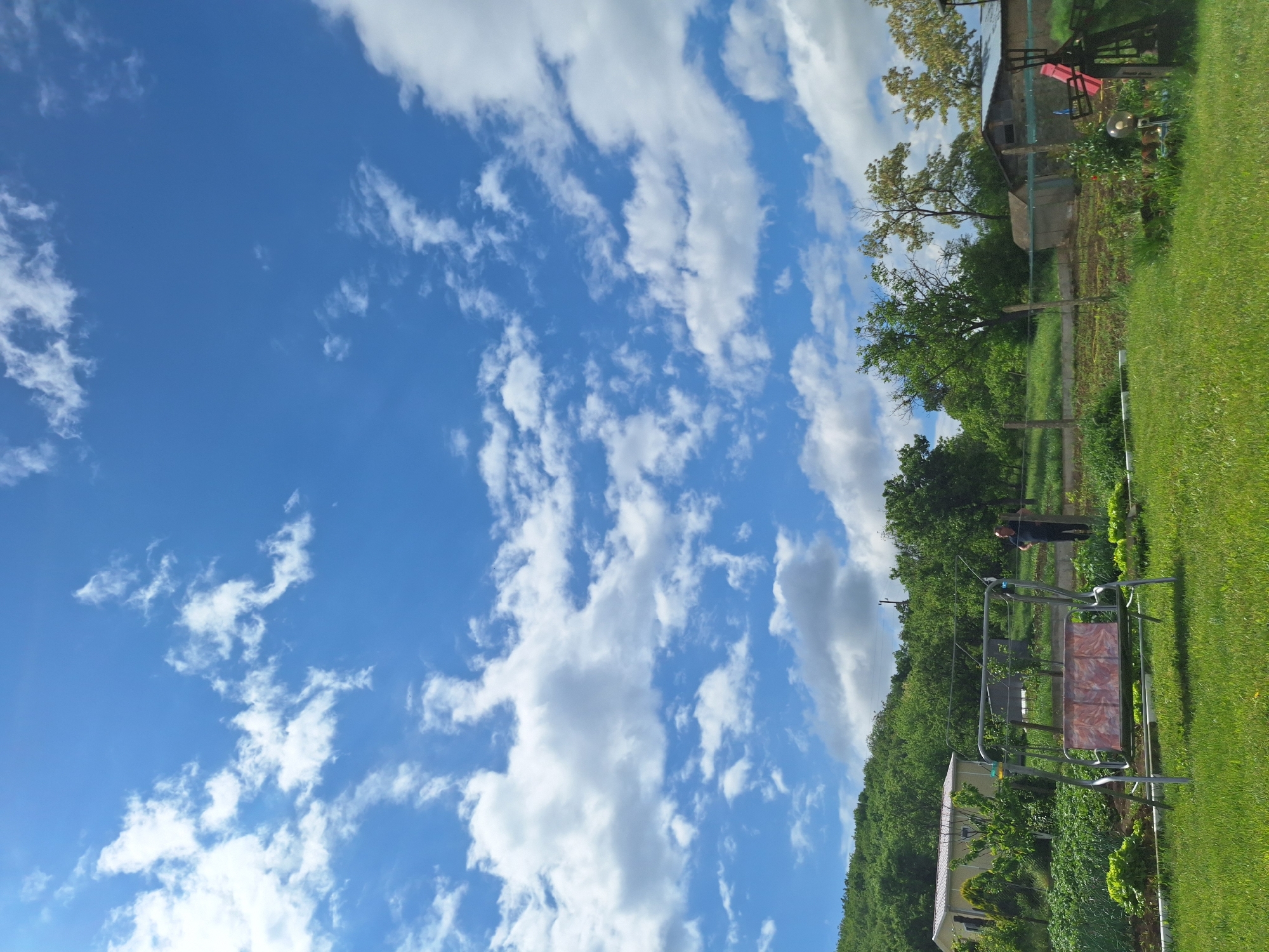 Morning backyard scene with dog, family in Elhovo Bulgaria