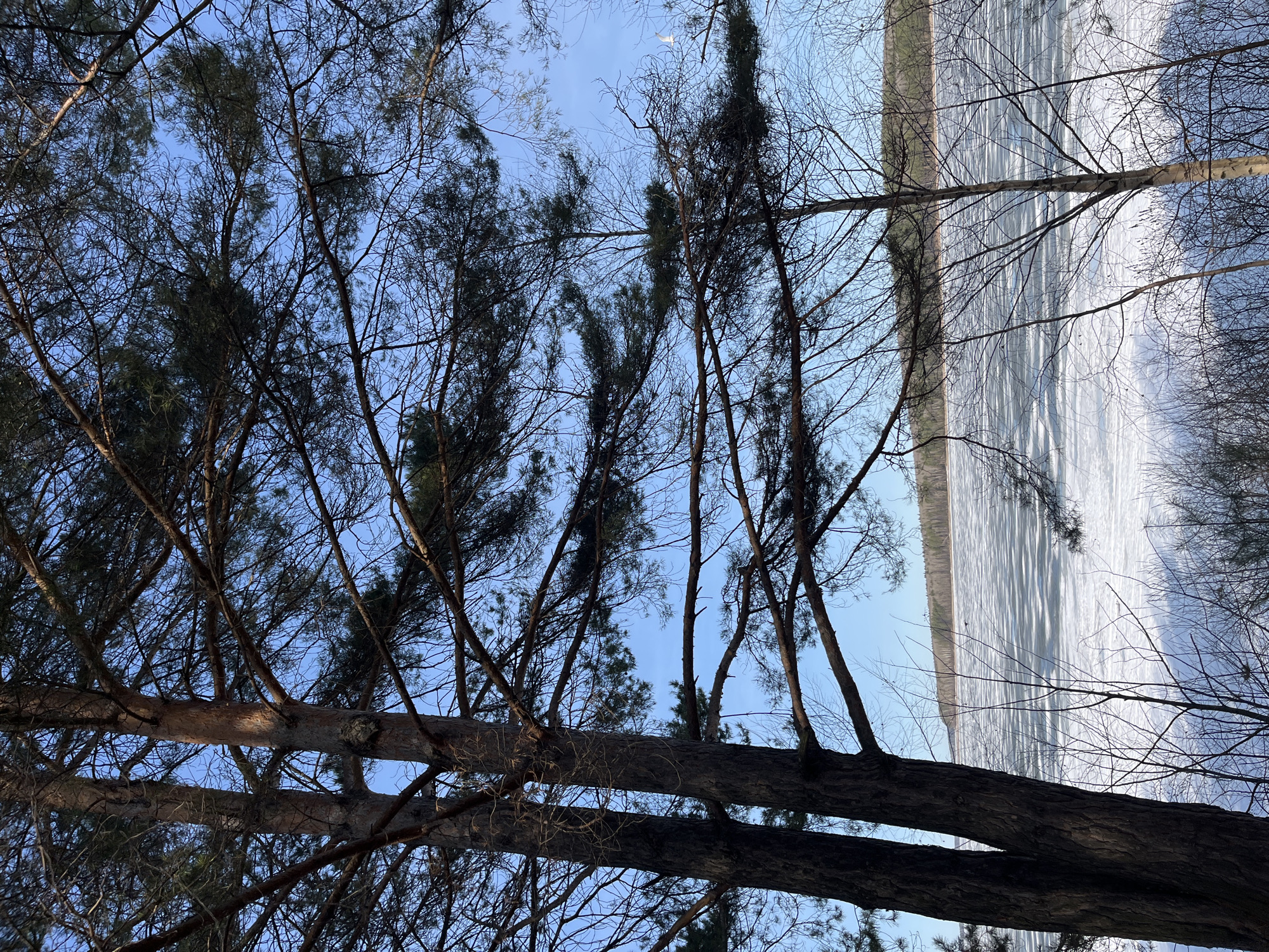 Winter day activities documented in Chaikovsky, Russia