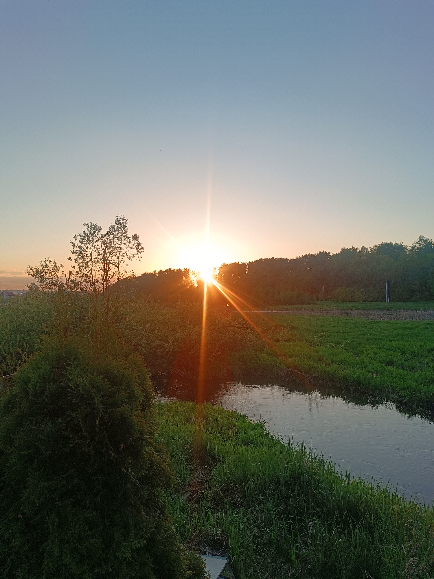Sunset nature observation with caterpillars documented in Motyakovo