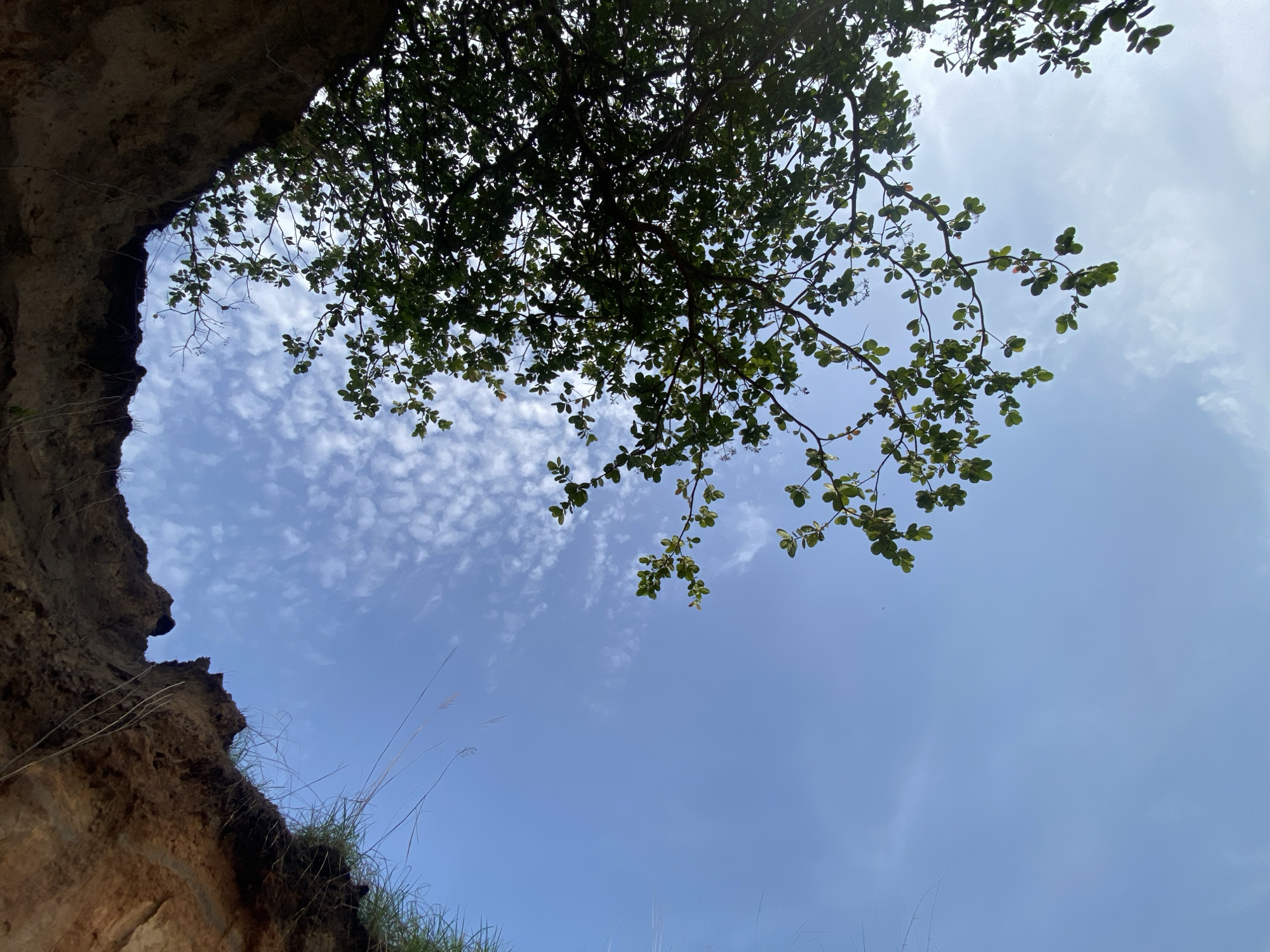 Morning sky observations documented across Achara, Nigeria landscape