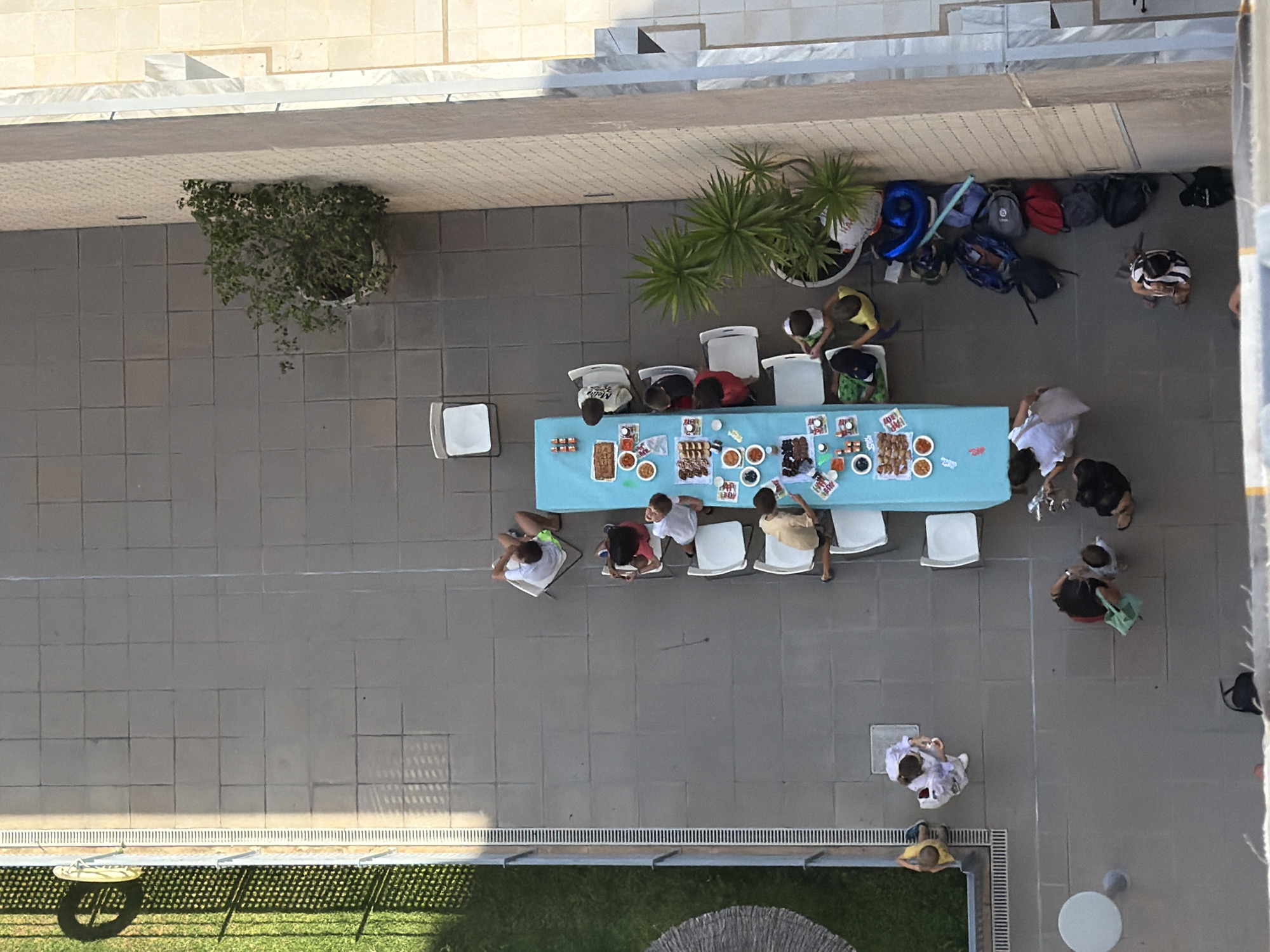 Outdoor dining gathering observed in palm-lined urban neighborhood