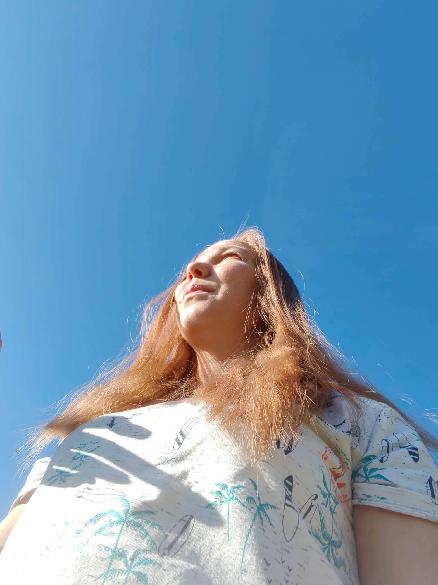 Sunny summer outing in Chukhloma: flowers, landscapes, and sky