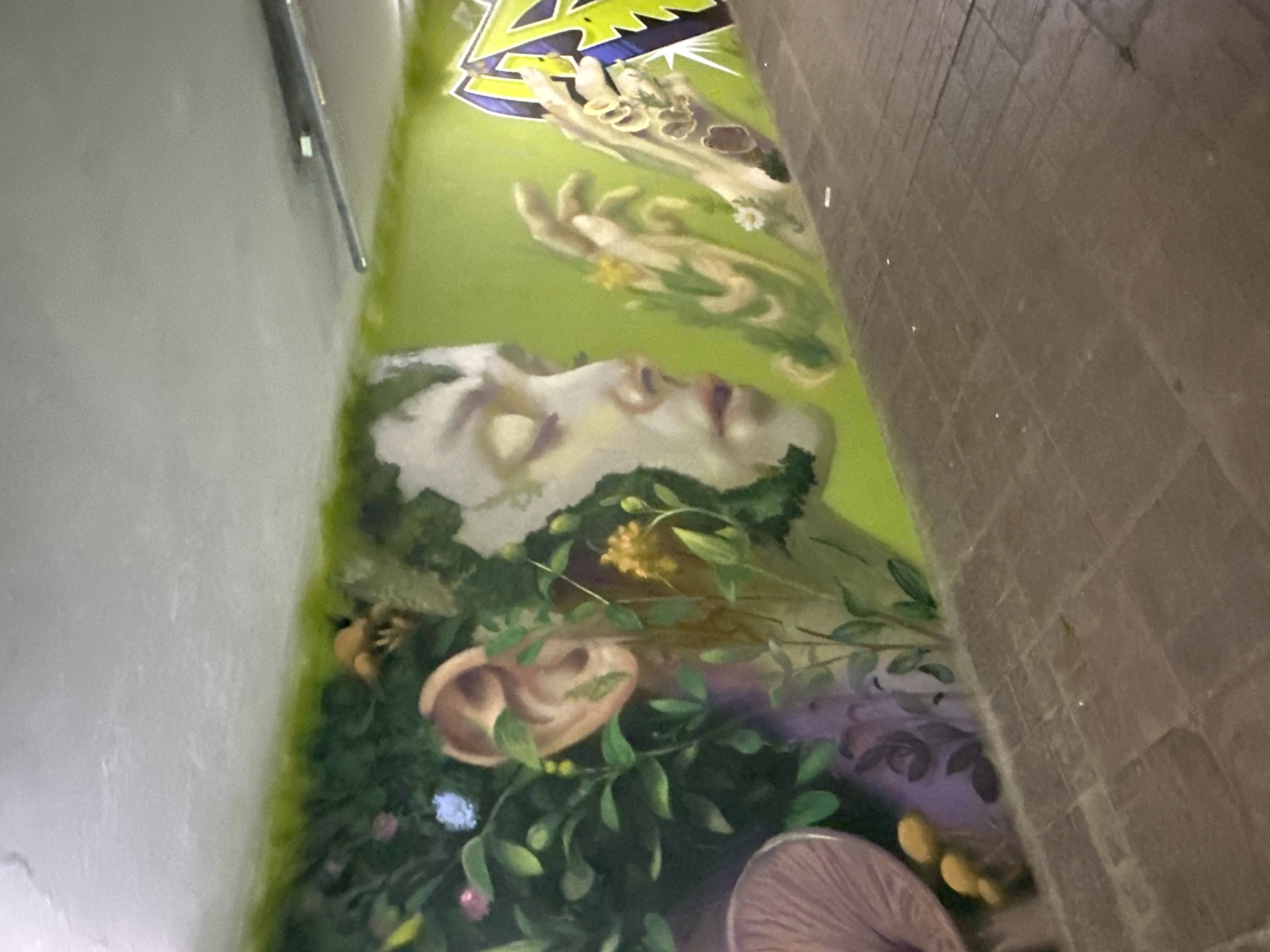 Street art and urban nature documented in Sofia